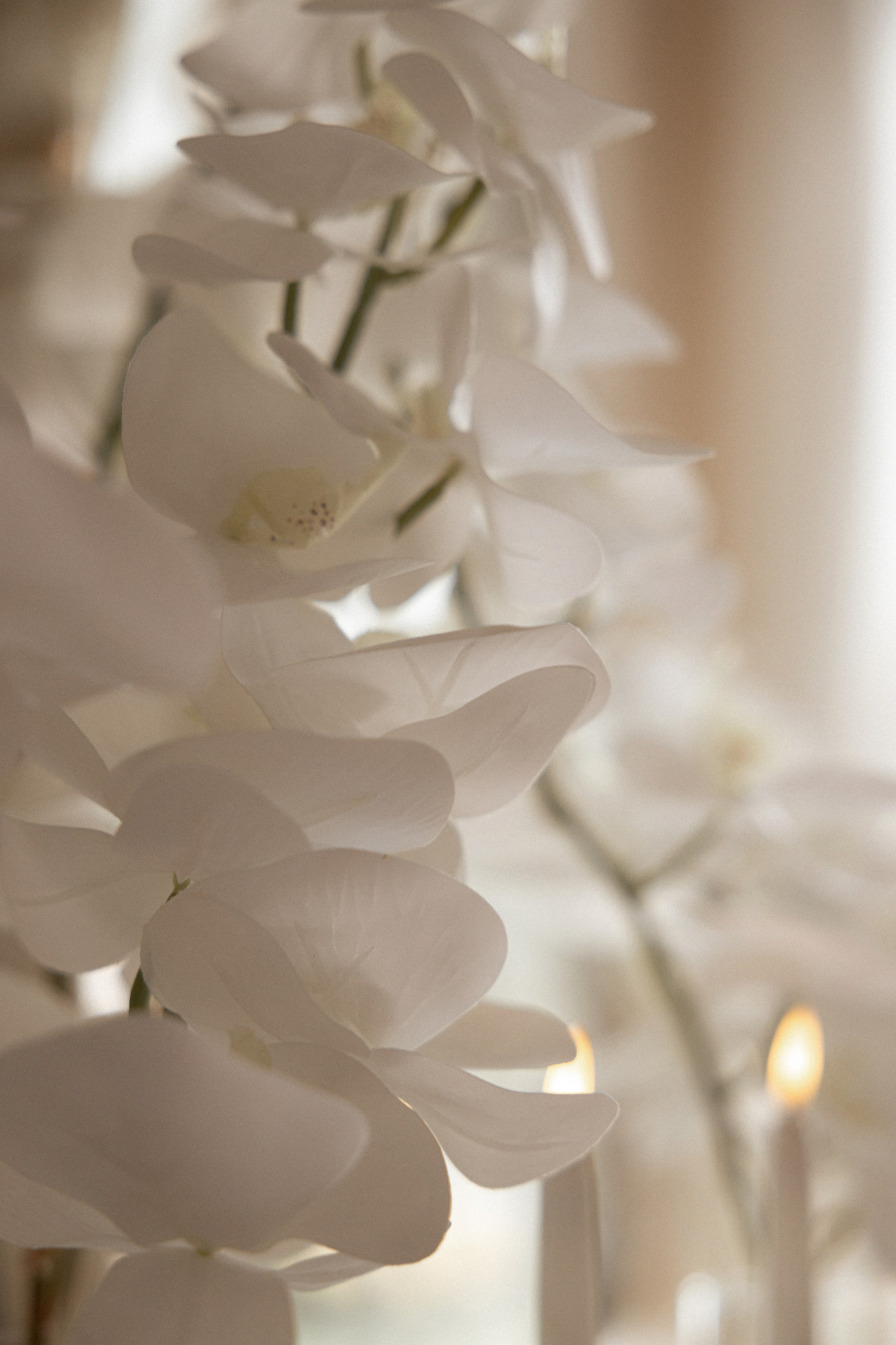 Daniela & Sergey. Вебер Юлия фотограф Ростов-на-Дону