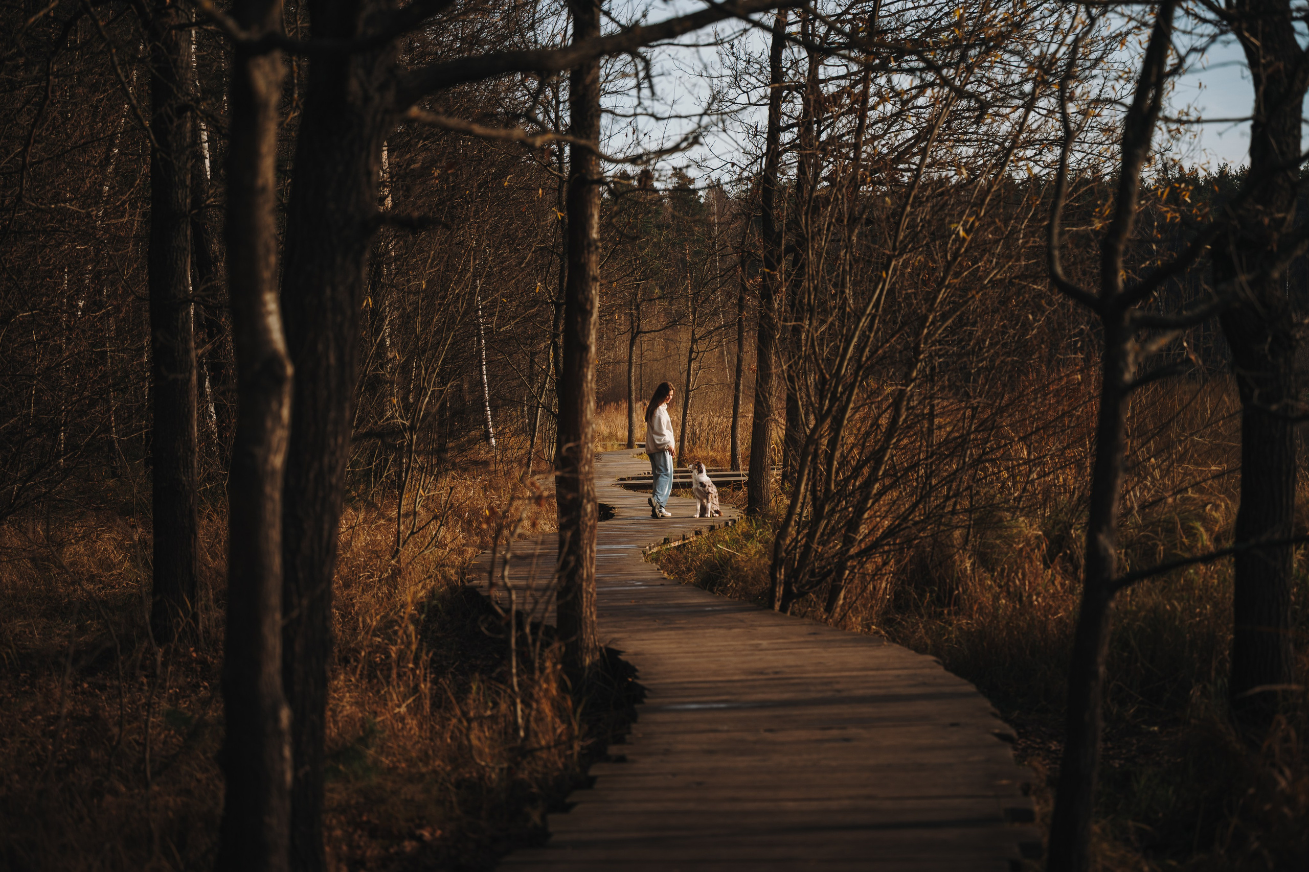 Настя, Максим, Орео и Норд. Семейный фотограф анималист Ананьева Мария — Москва