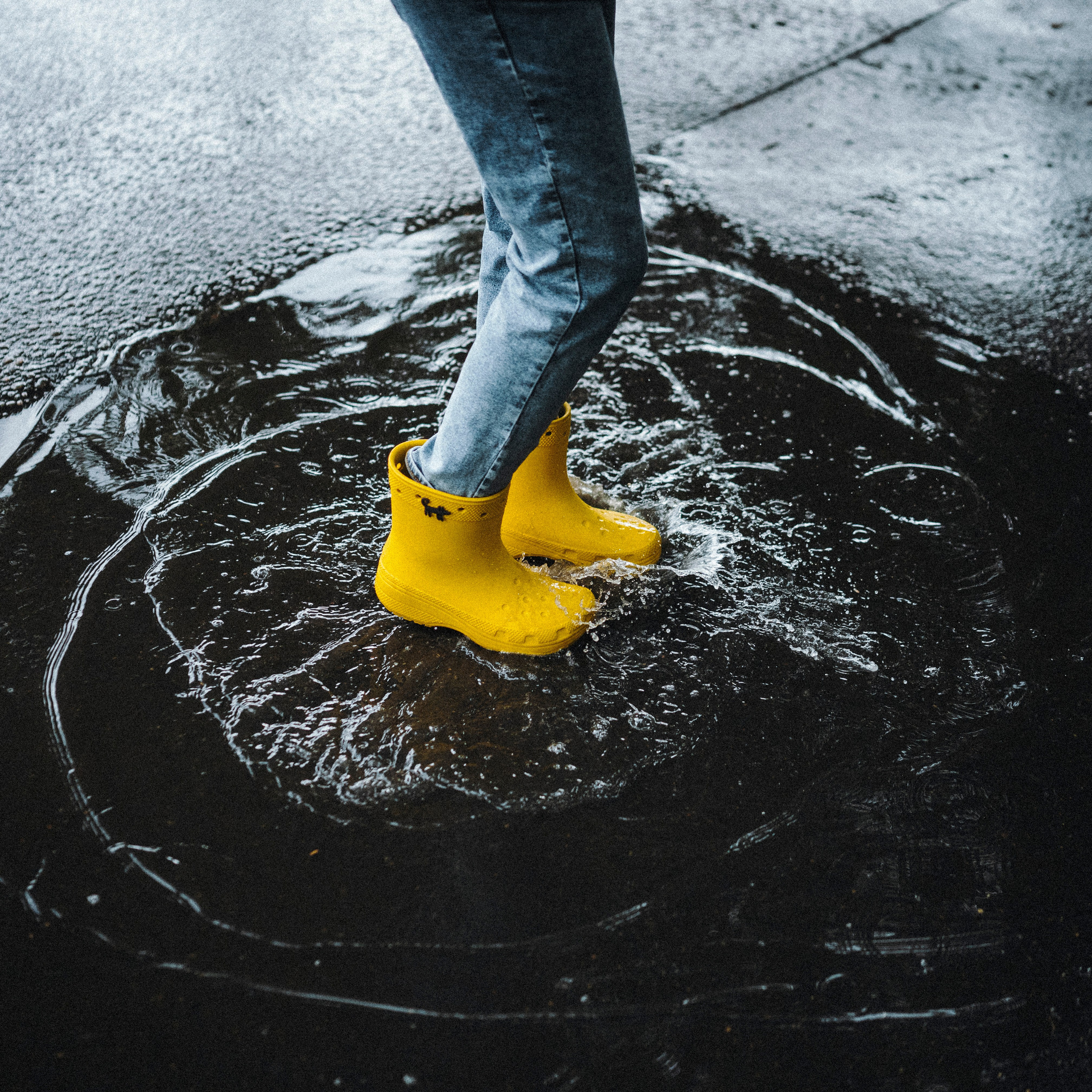 Даша и Умбра. Семейный фотограф анималист Ананьева Мария — Москва