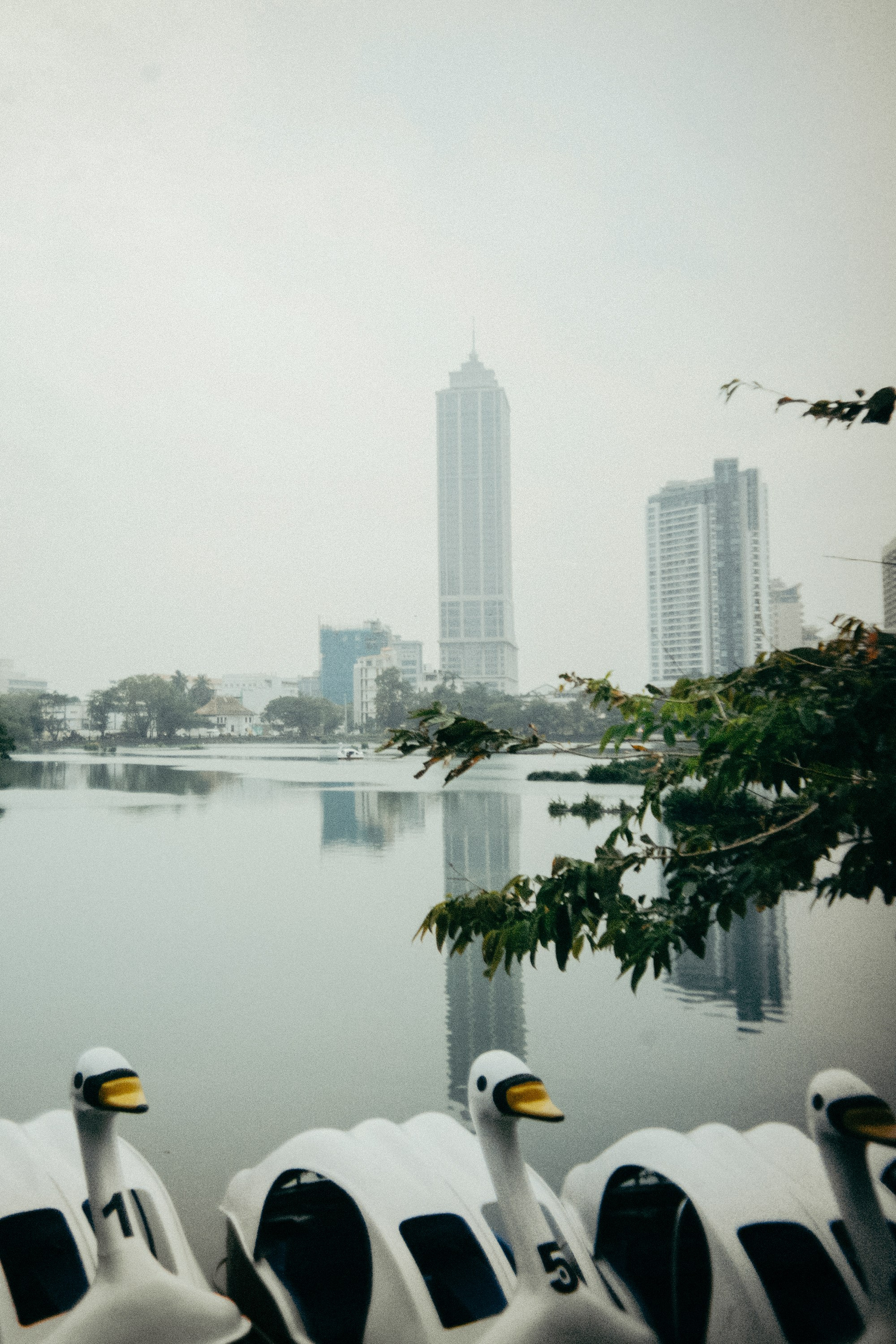 Шри + Бангкок. Фотограф Тбилиси Саша Мороз