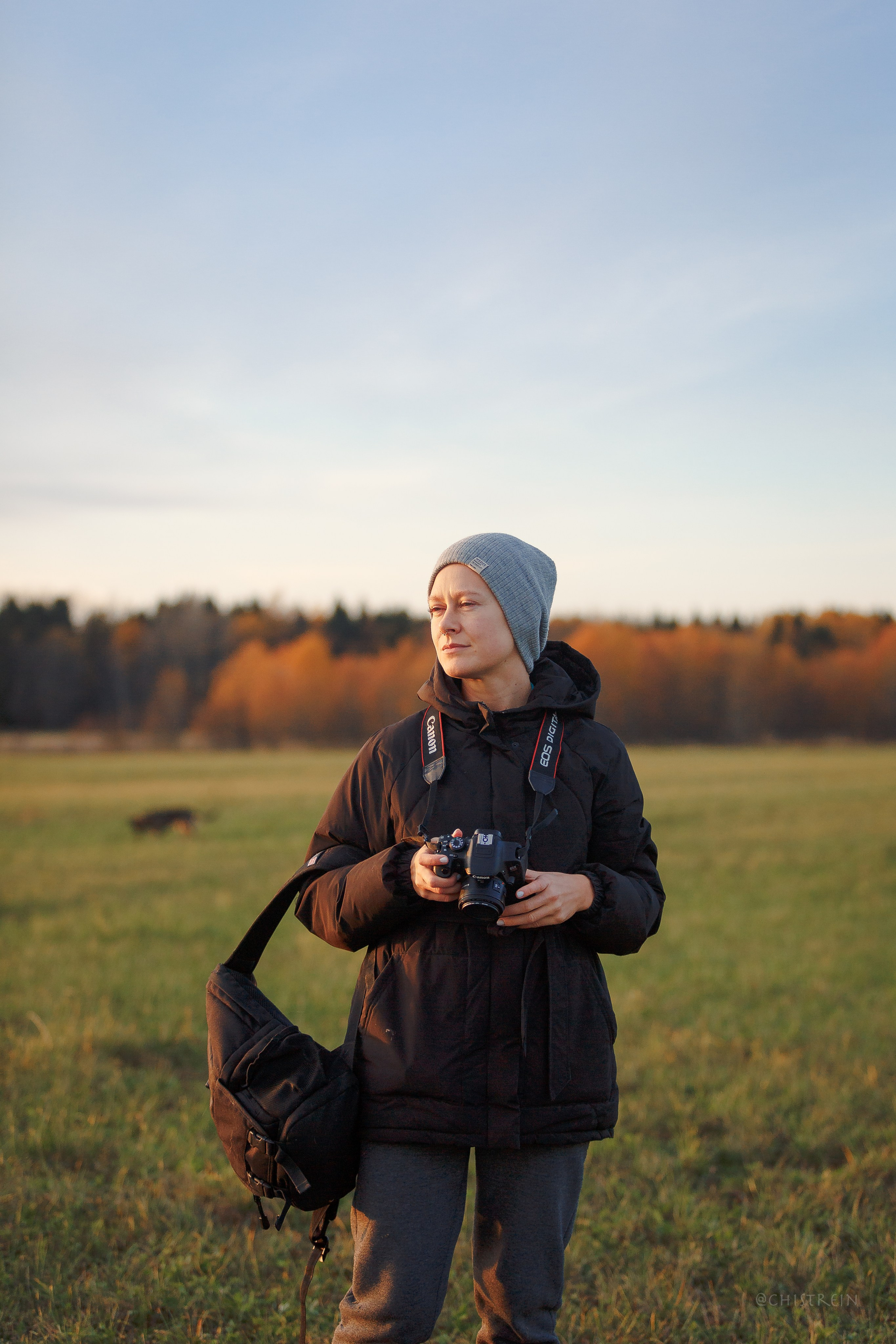 Октябрьский закат в полях. Алина и Лео. Фотограф-анималист Наталия Чистюхина в г. Сосновый Бор и ЛО