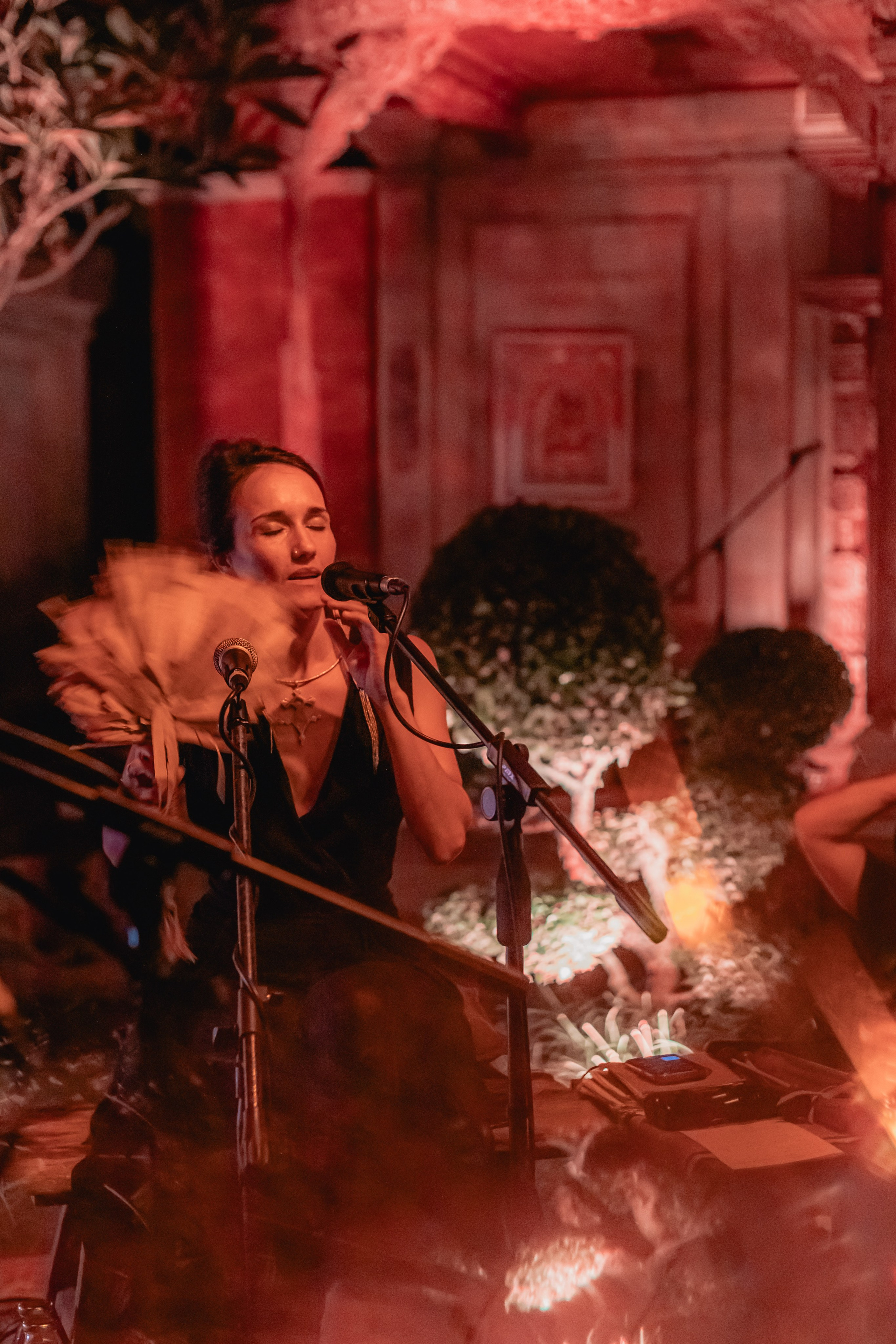 Alegria festival at Zest. Мариам Багдасарян