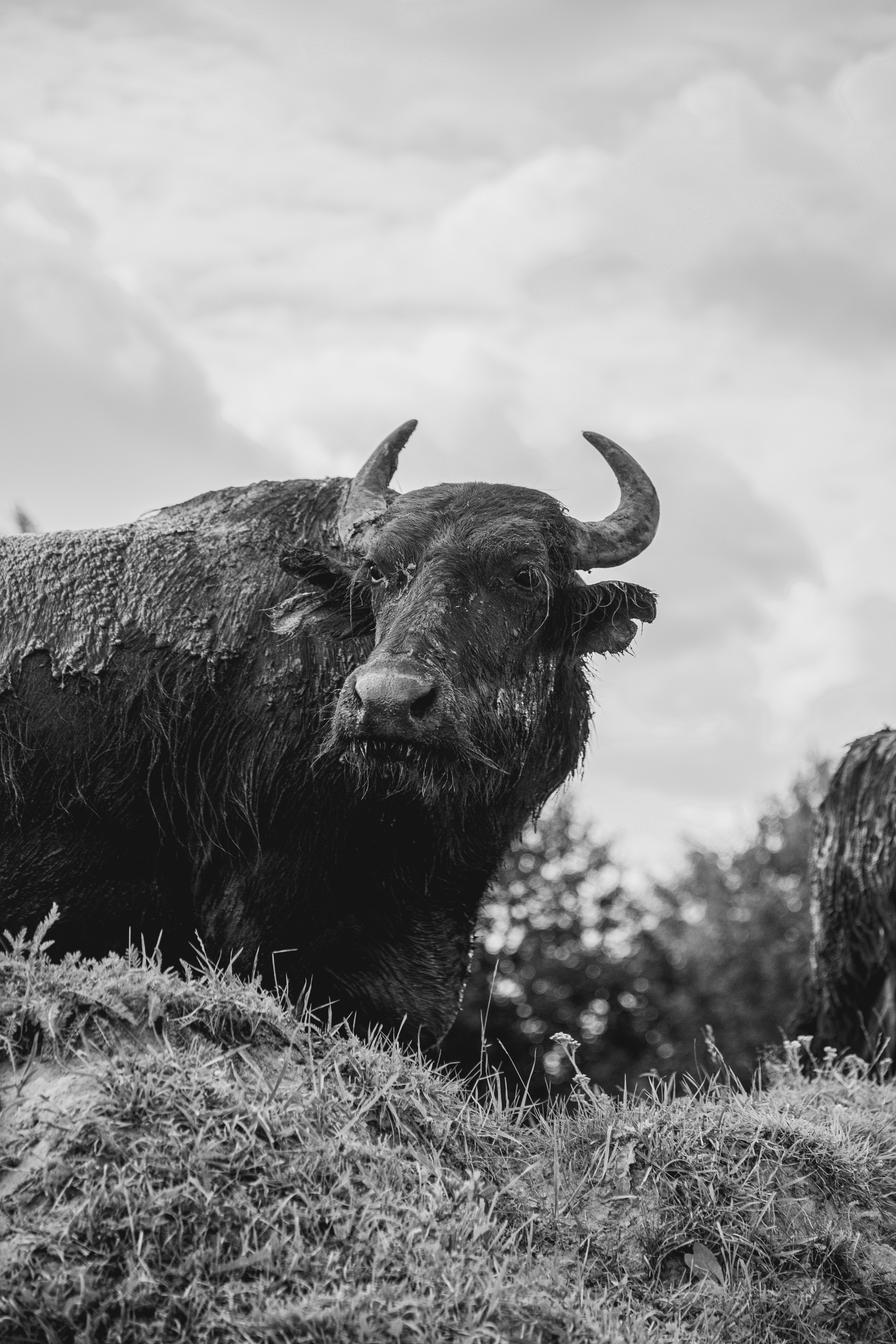 Элла Ферма. Юлия Космо — фуд-фотограф, предметный стилист, Москва