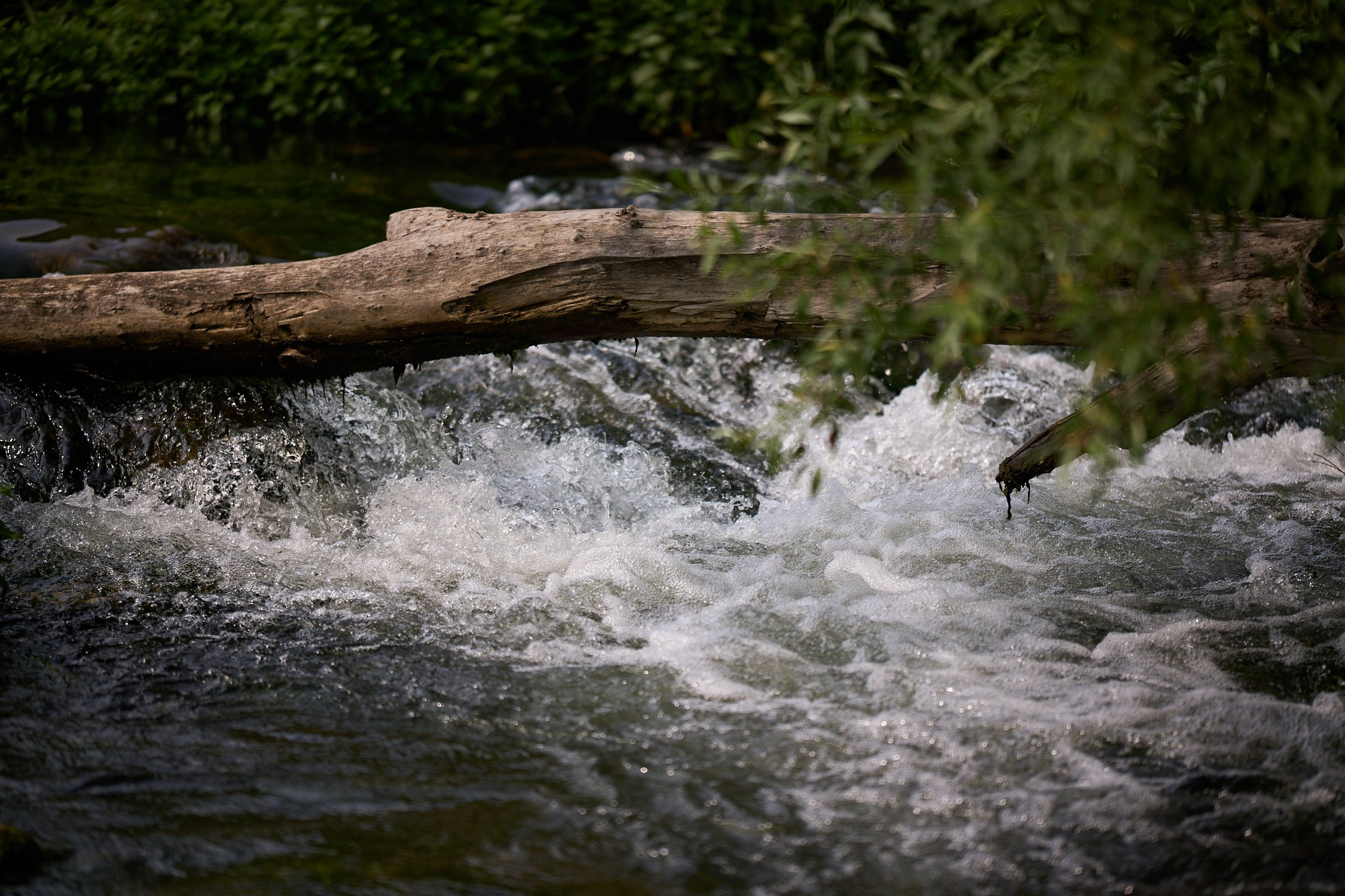 Это уже внизу на берегу. Вода ледяная кстати.