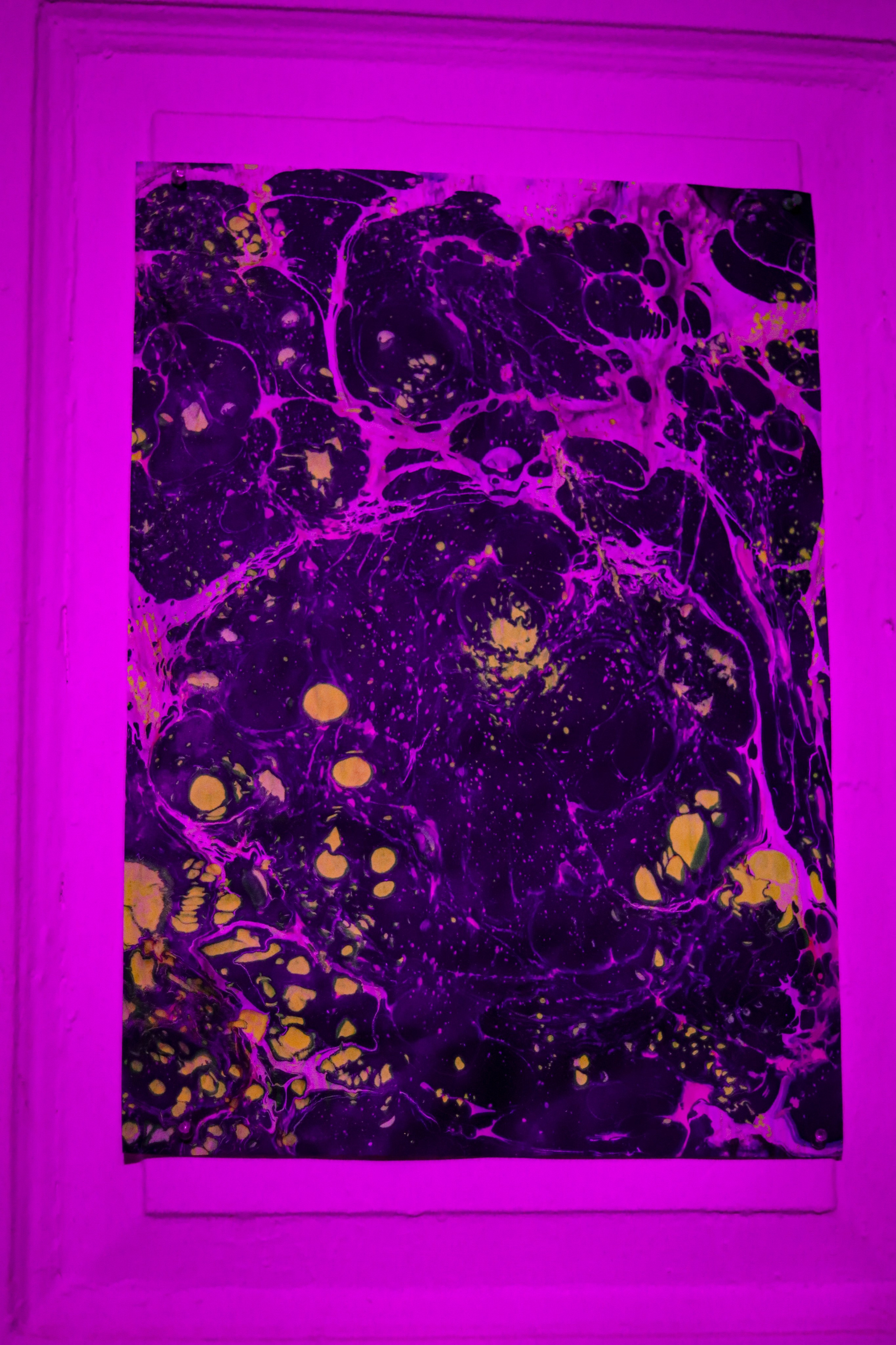 Выставка Алима Юсупова в квартире «Мира». Ивентный фотограф в Санкт-Петербурге Олег Комков