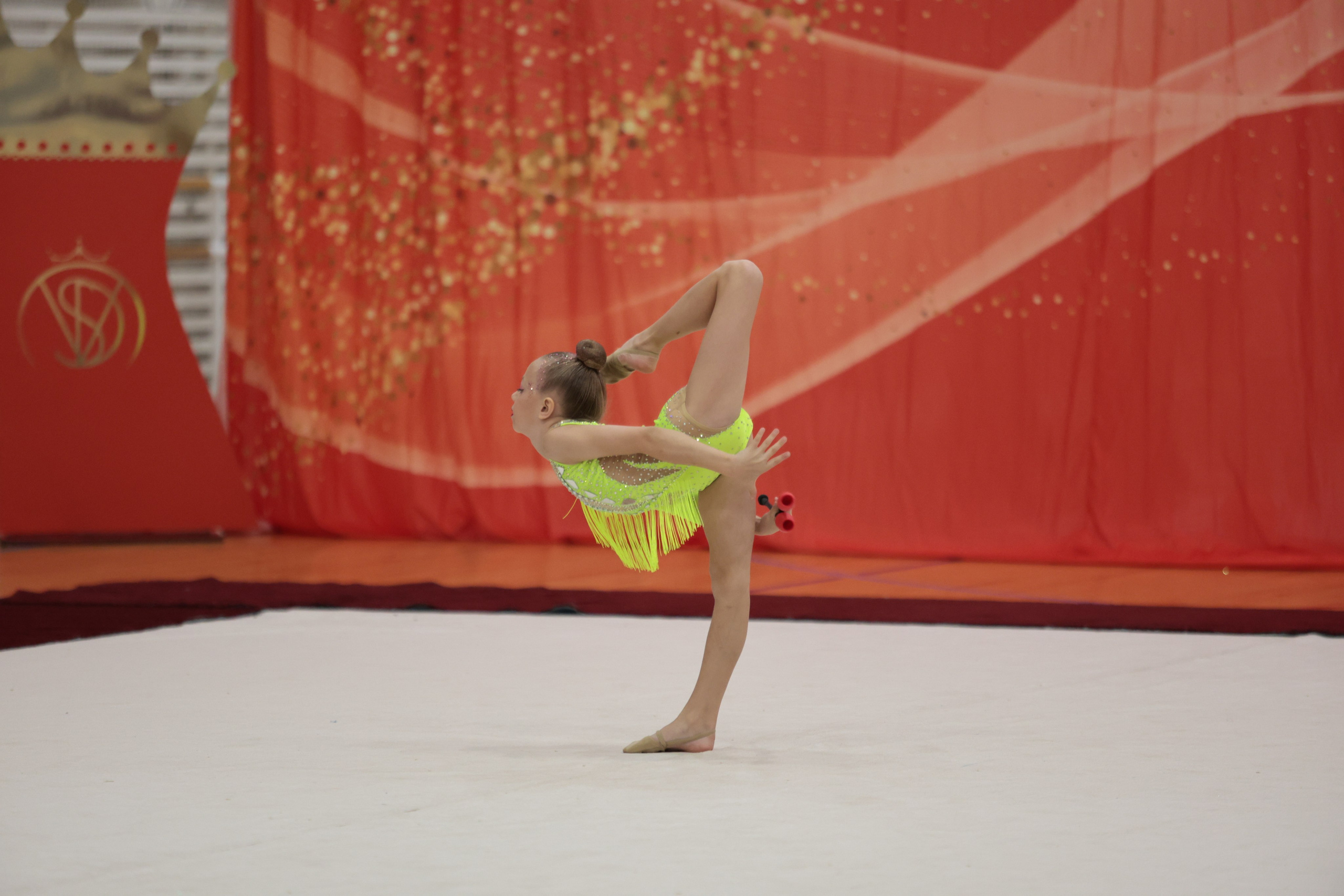 Профессиональная съемка гимнастического турнира в Пскове. Портретный Фотограф Александр «Konevtsoph» В Санкт-Петербурге