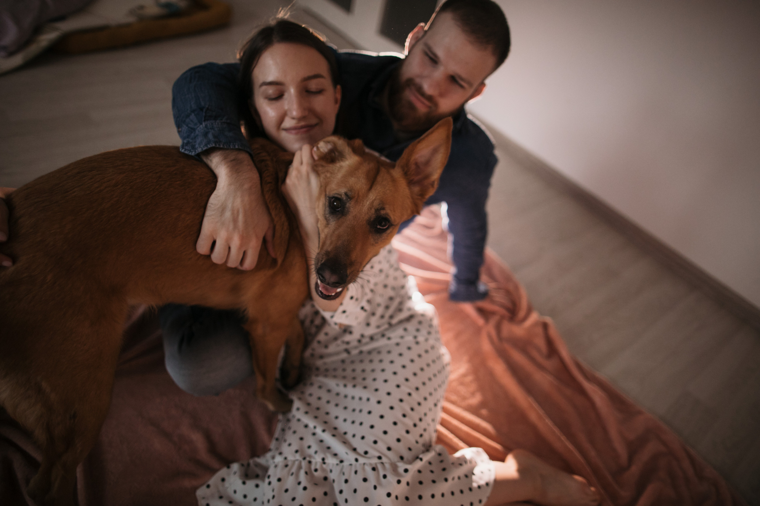 Маша, Степан, Тима и Мона. Свадебный фотограф в Москве Аля Загирова