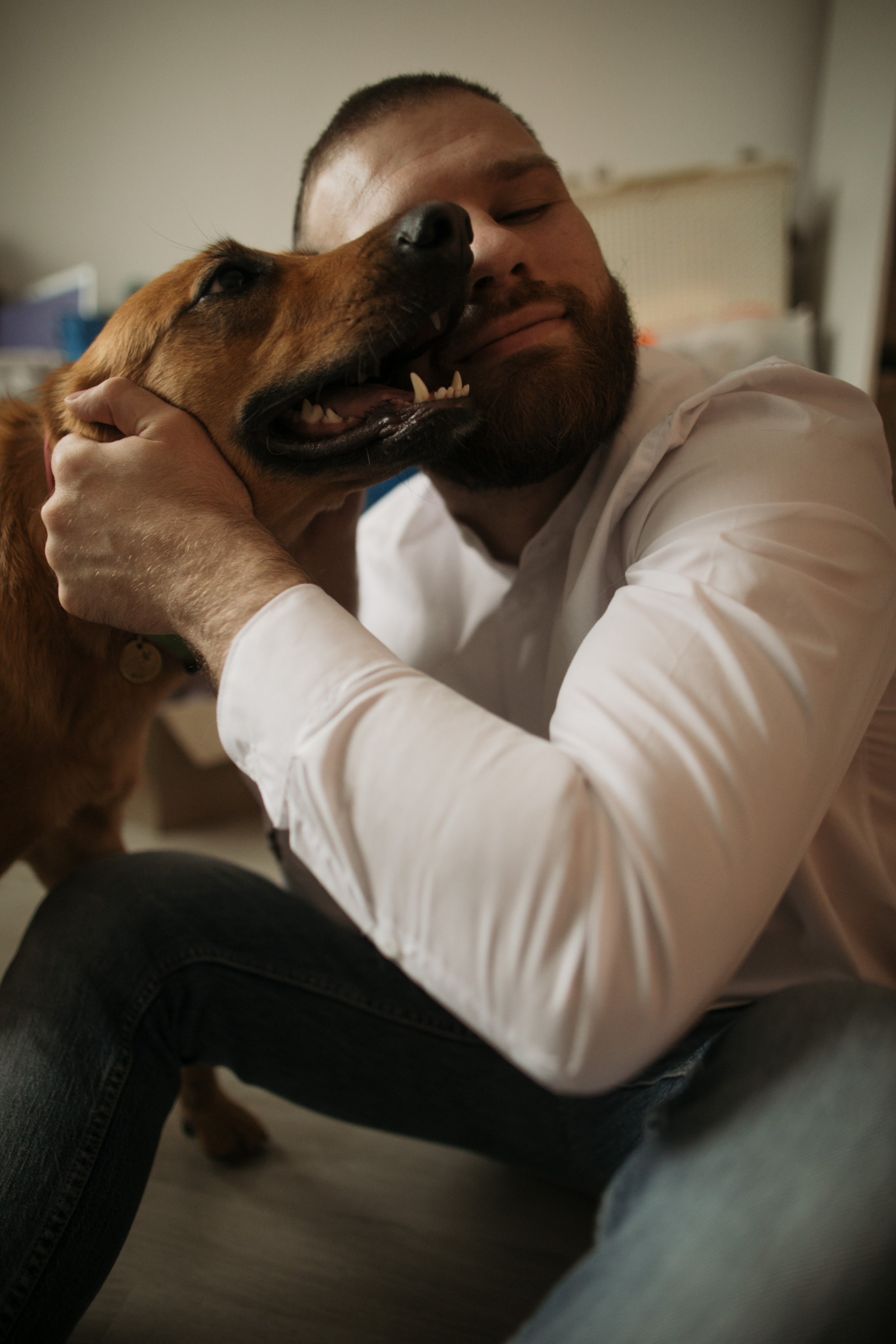 Маша, Степан, Тима и Мона. Свадебный фотограф в Москве Аля Загирова