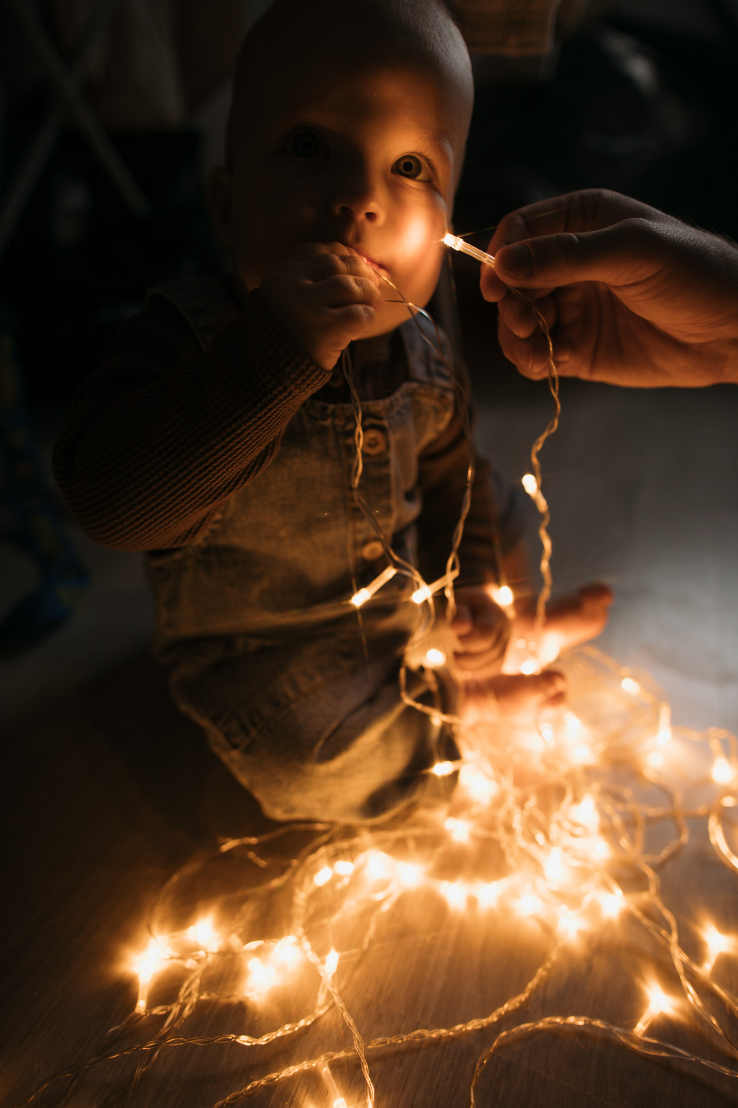 Маша, Степан, Тима и Мона. Свадебный фотограф в Москве Аля Загирова