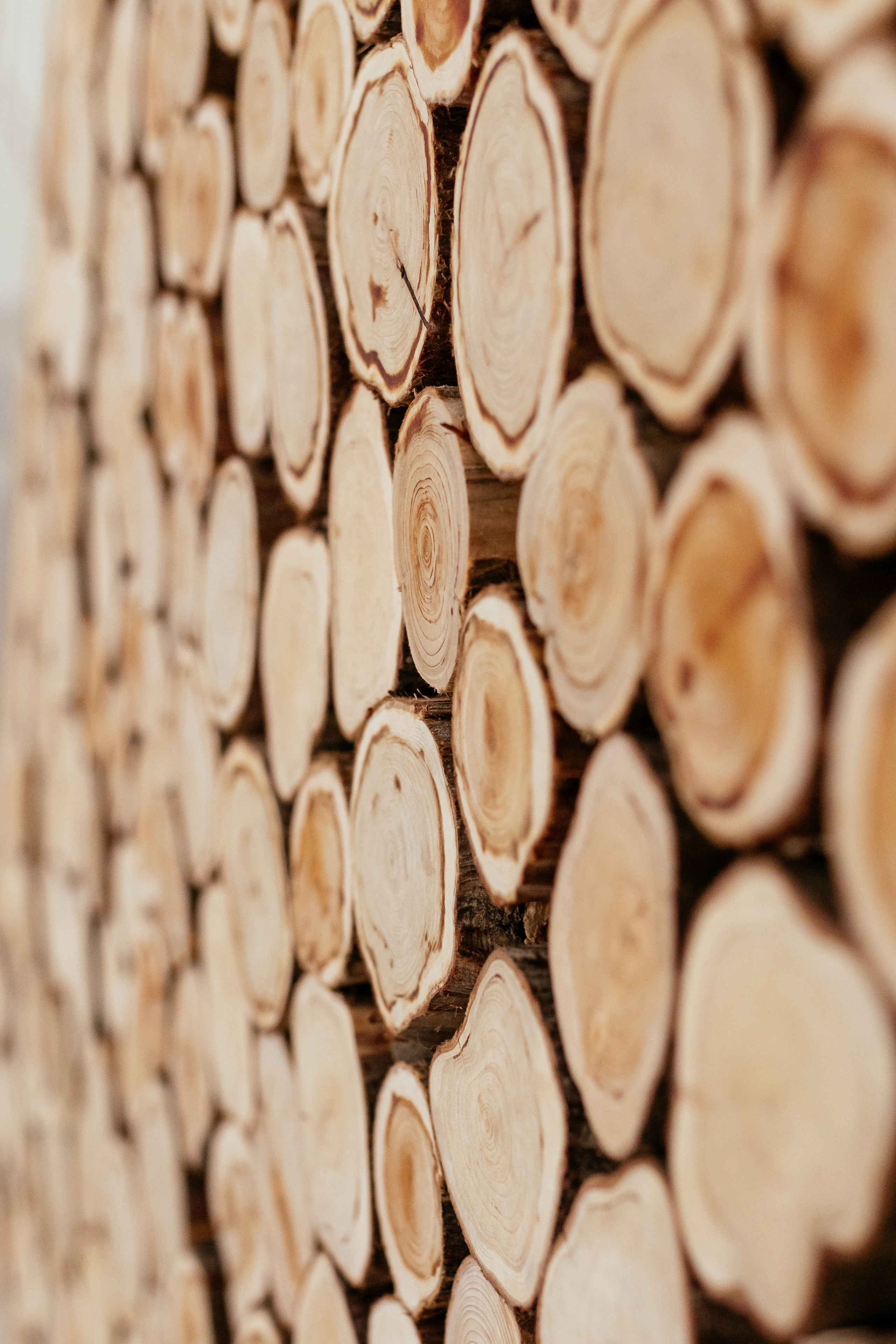 LUKSON контентная съёмка для столярной мастерской. Семейный фотограф в Минске Приболовец Светлана