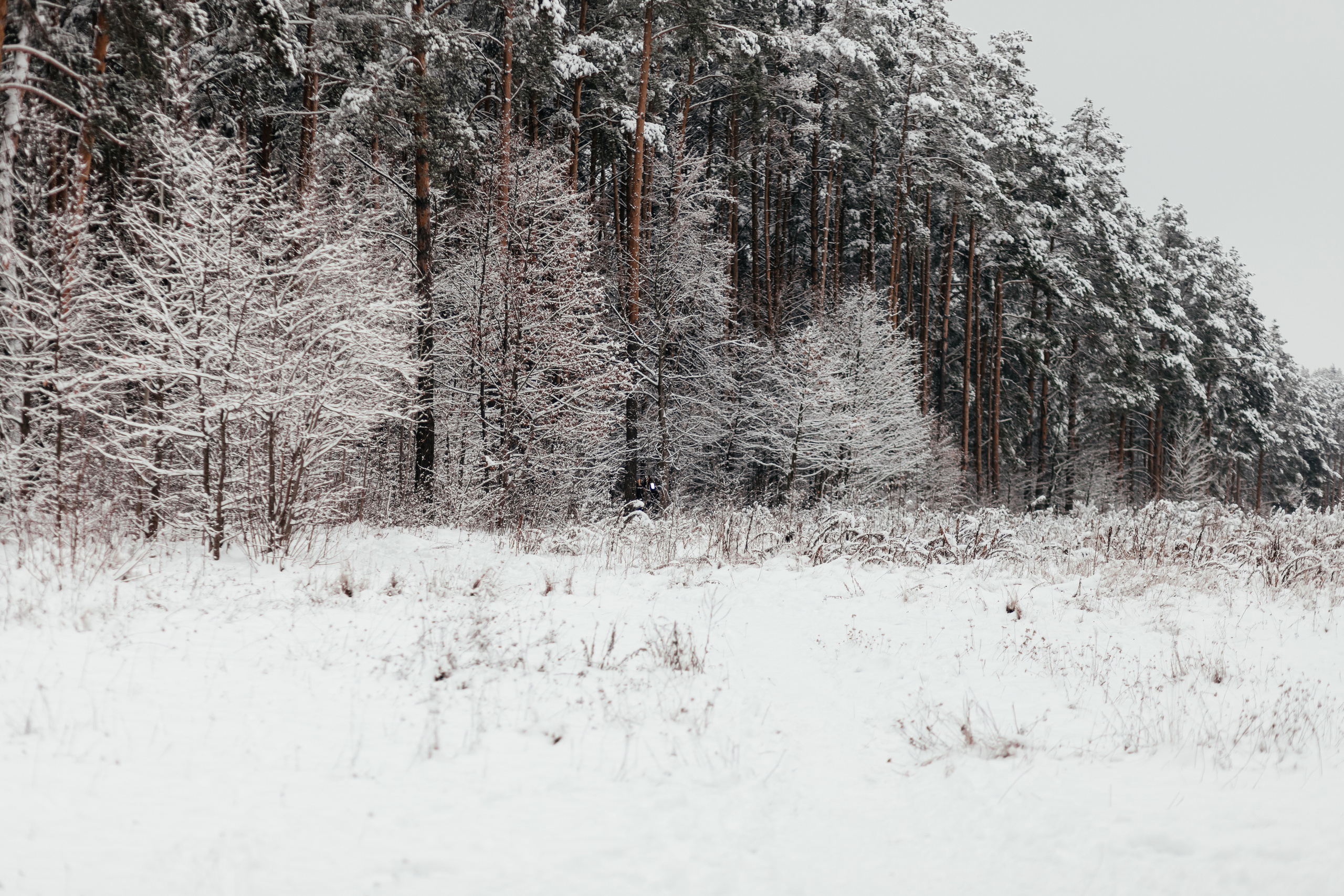 Зимняя прогулка. Семейный фотограф в Минске Приболовец Светлана