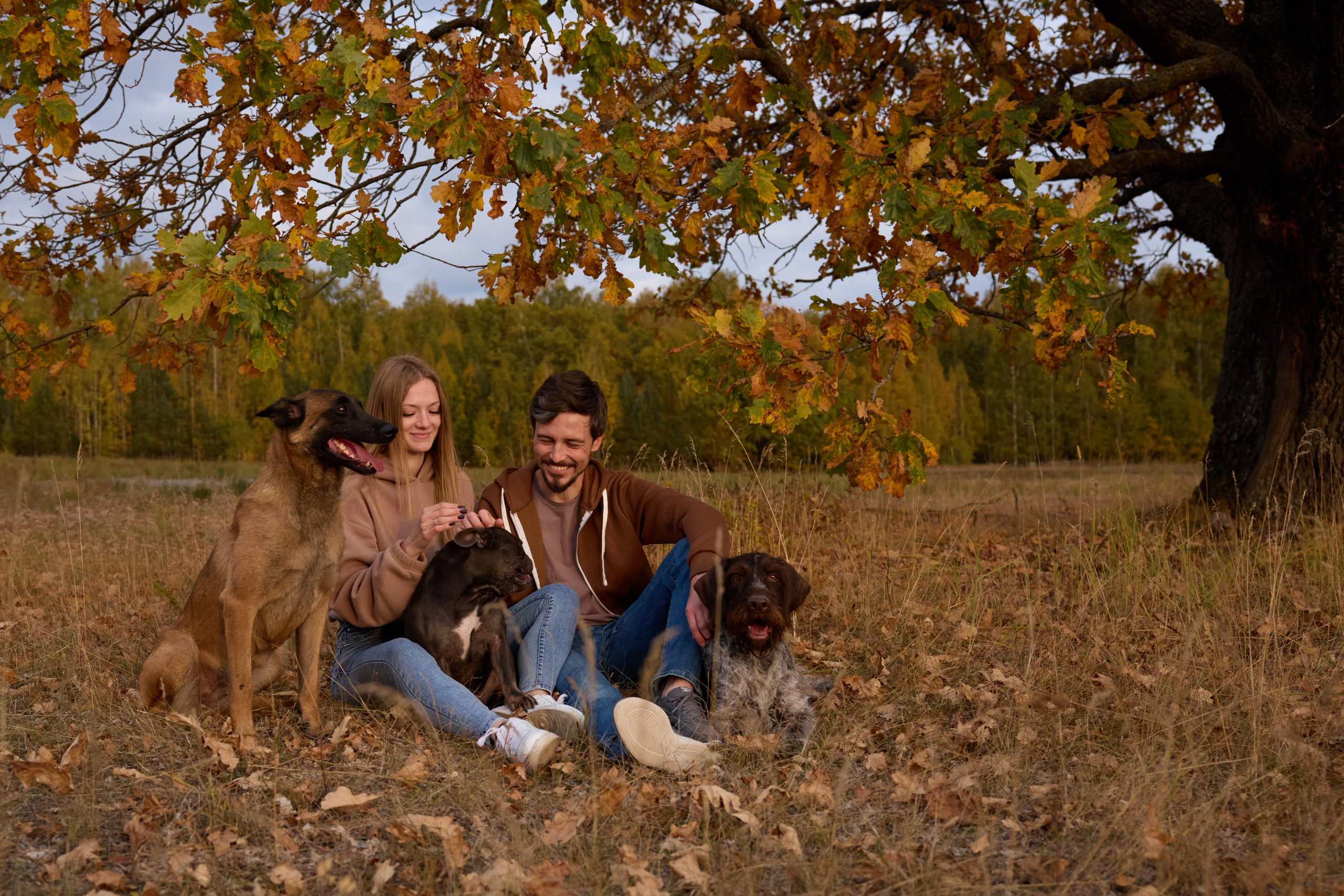 Семейная история. Фотограф анималист в Казани Алина Сулейманова. Фотограф животных