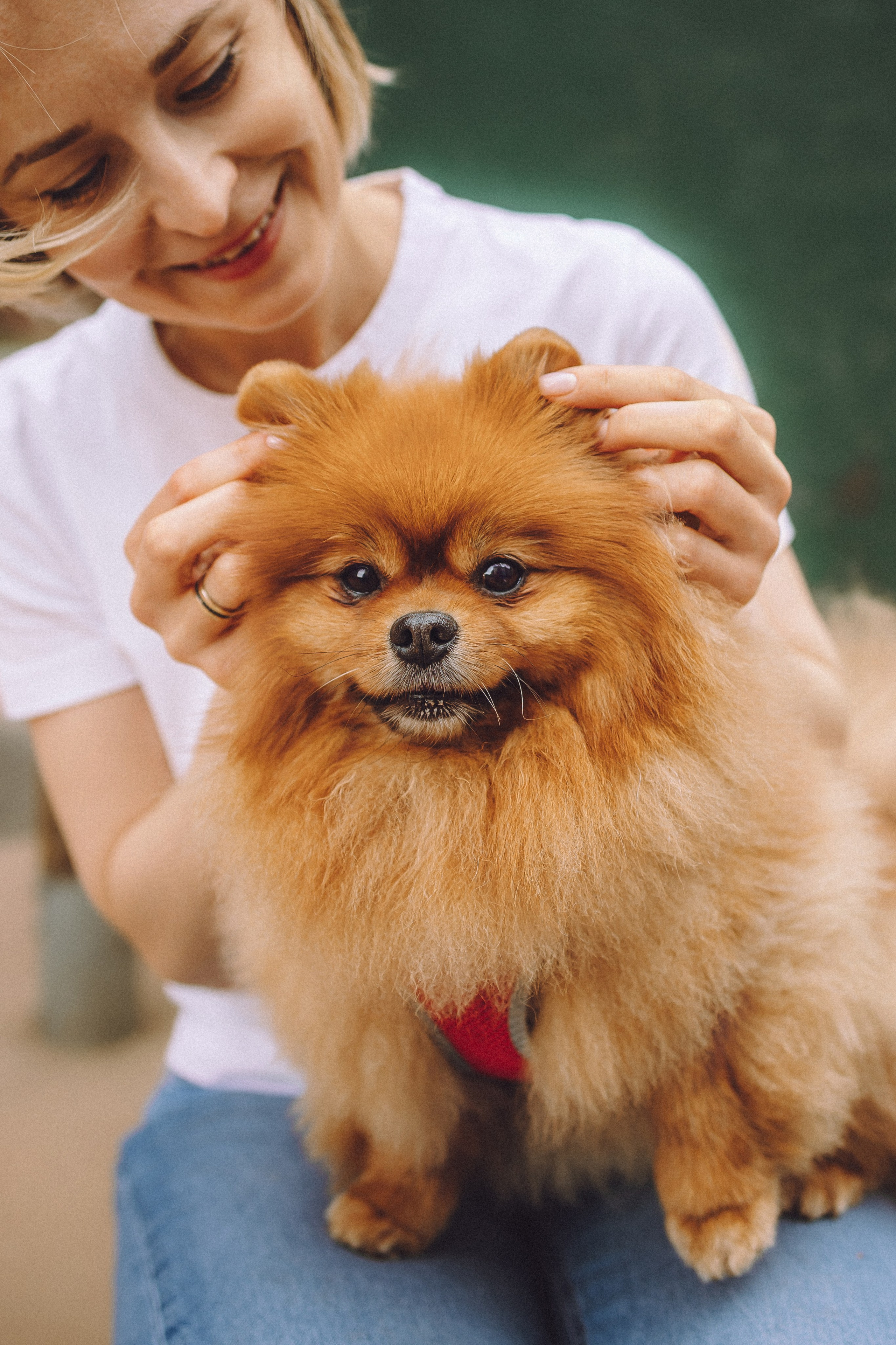 Лорик и его семья