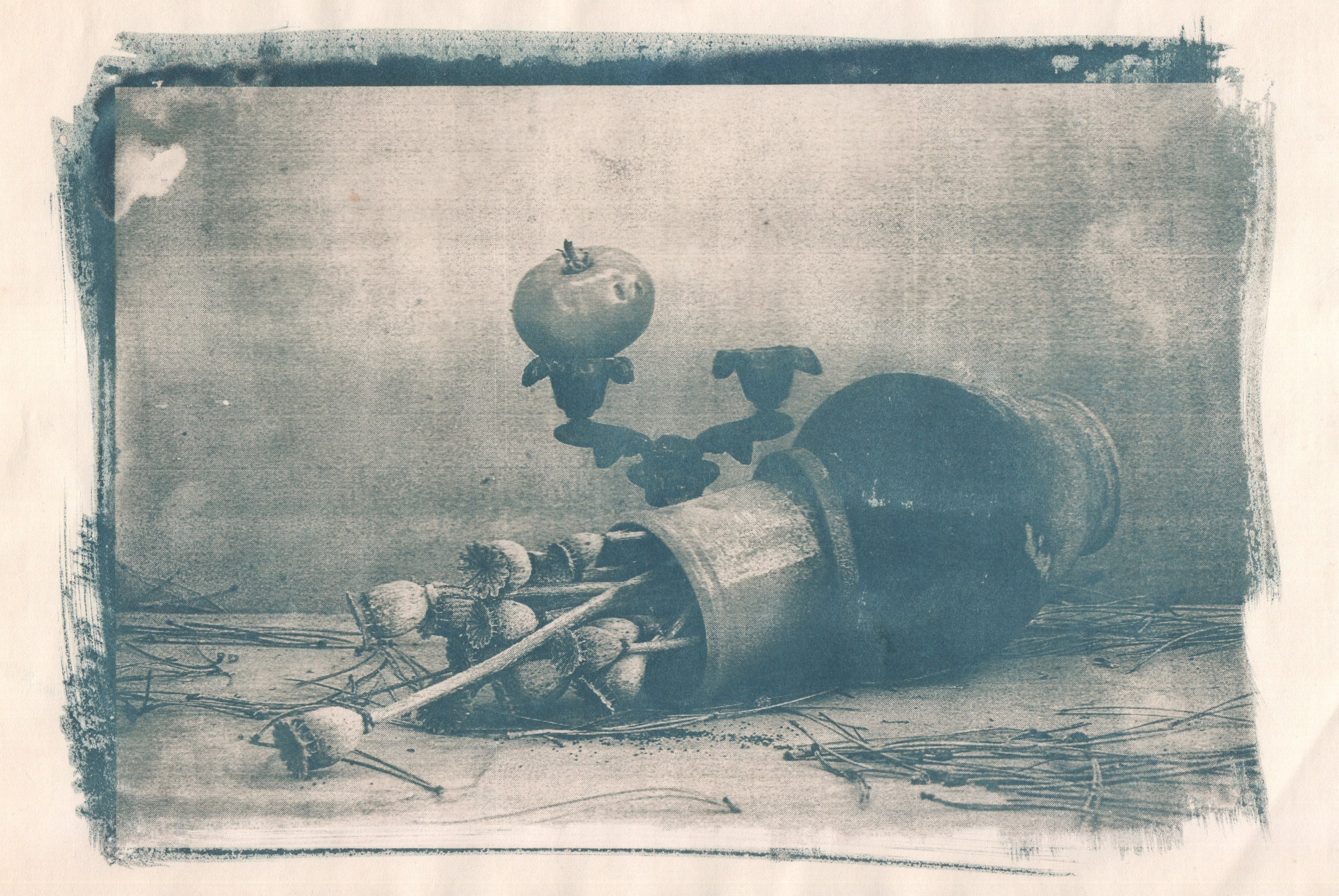 Цианотипия. Фотография Стремского