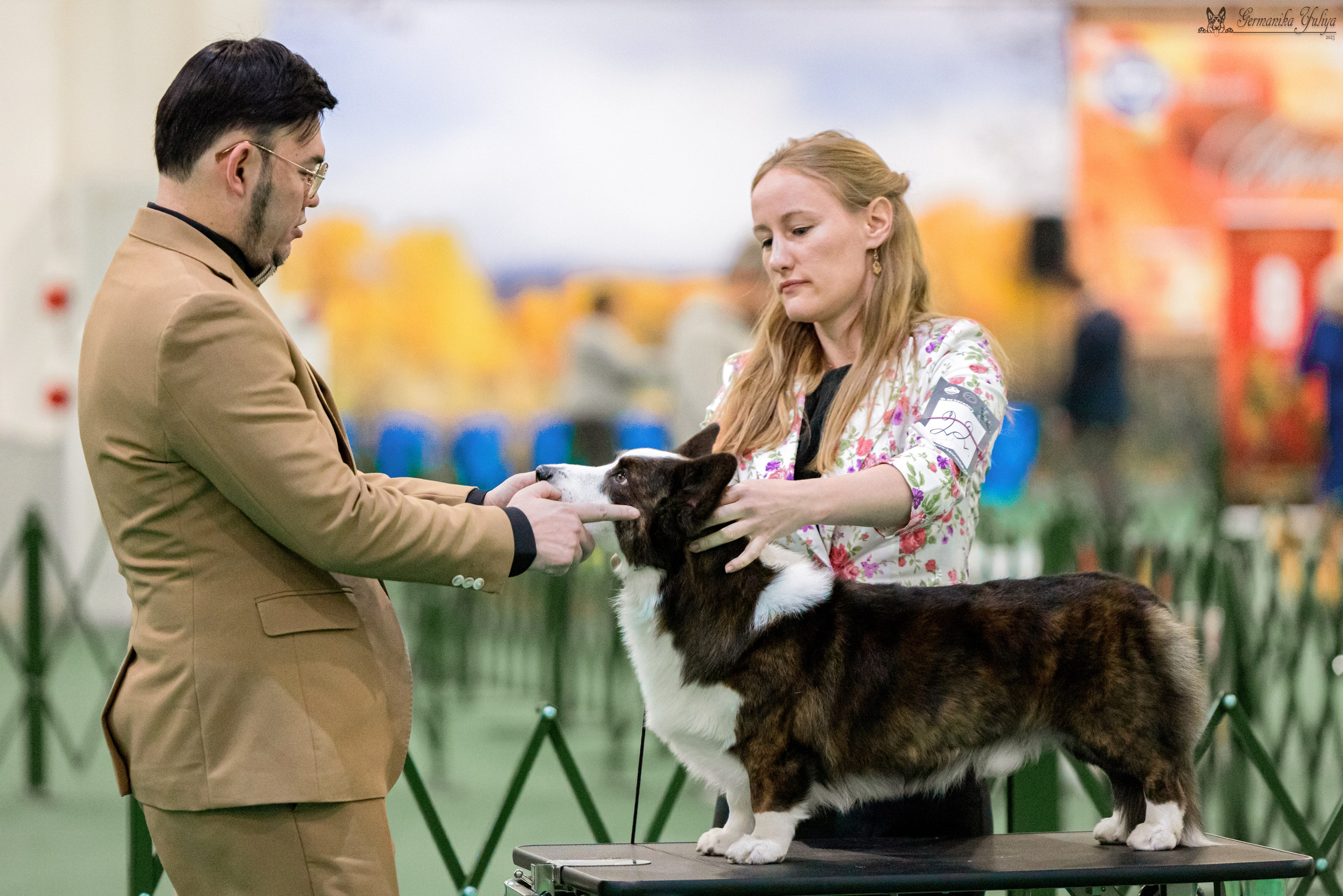 Сфера 29.10,Крокус 4.11,Сфера 12.11.2023. Фотограф-анималист Юлия Германика