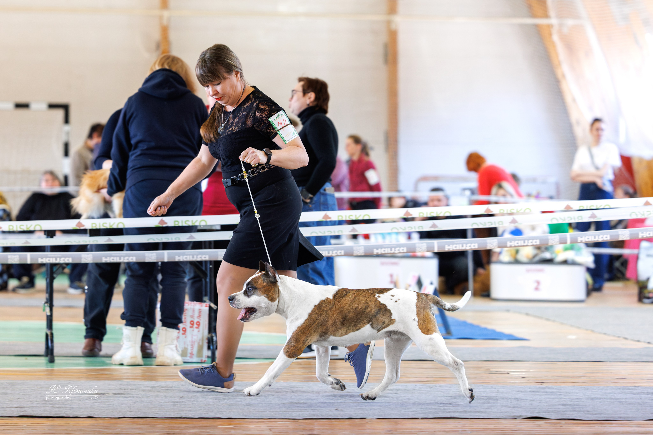 Тверь 12.04,Сфера 13.04,Сергиев Посад 19.04.2025. Фотограф-анималист Юлия Германика
