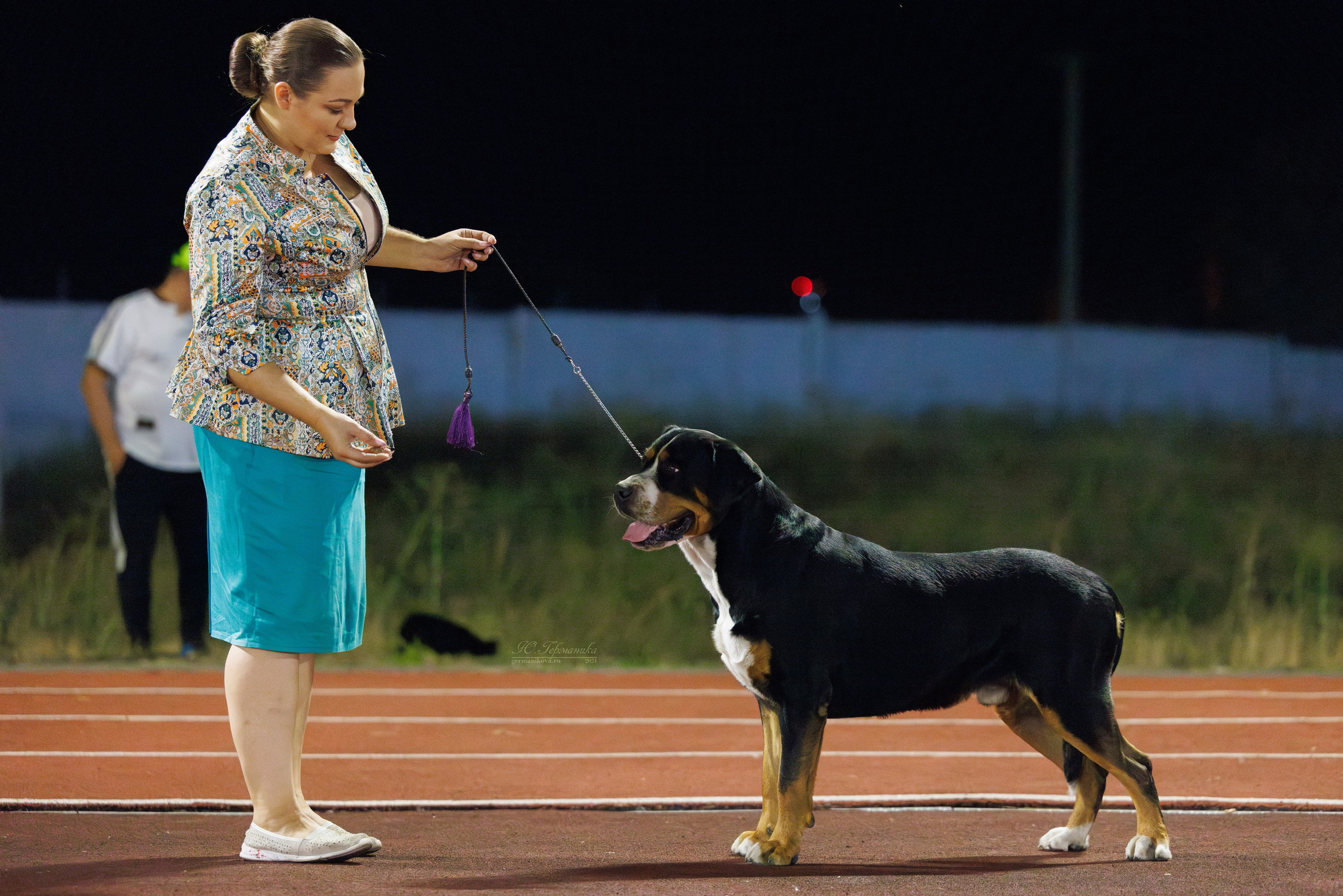 Волгоград 2-4.08.2024. Фотограф-анималист Юлия Германика