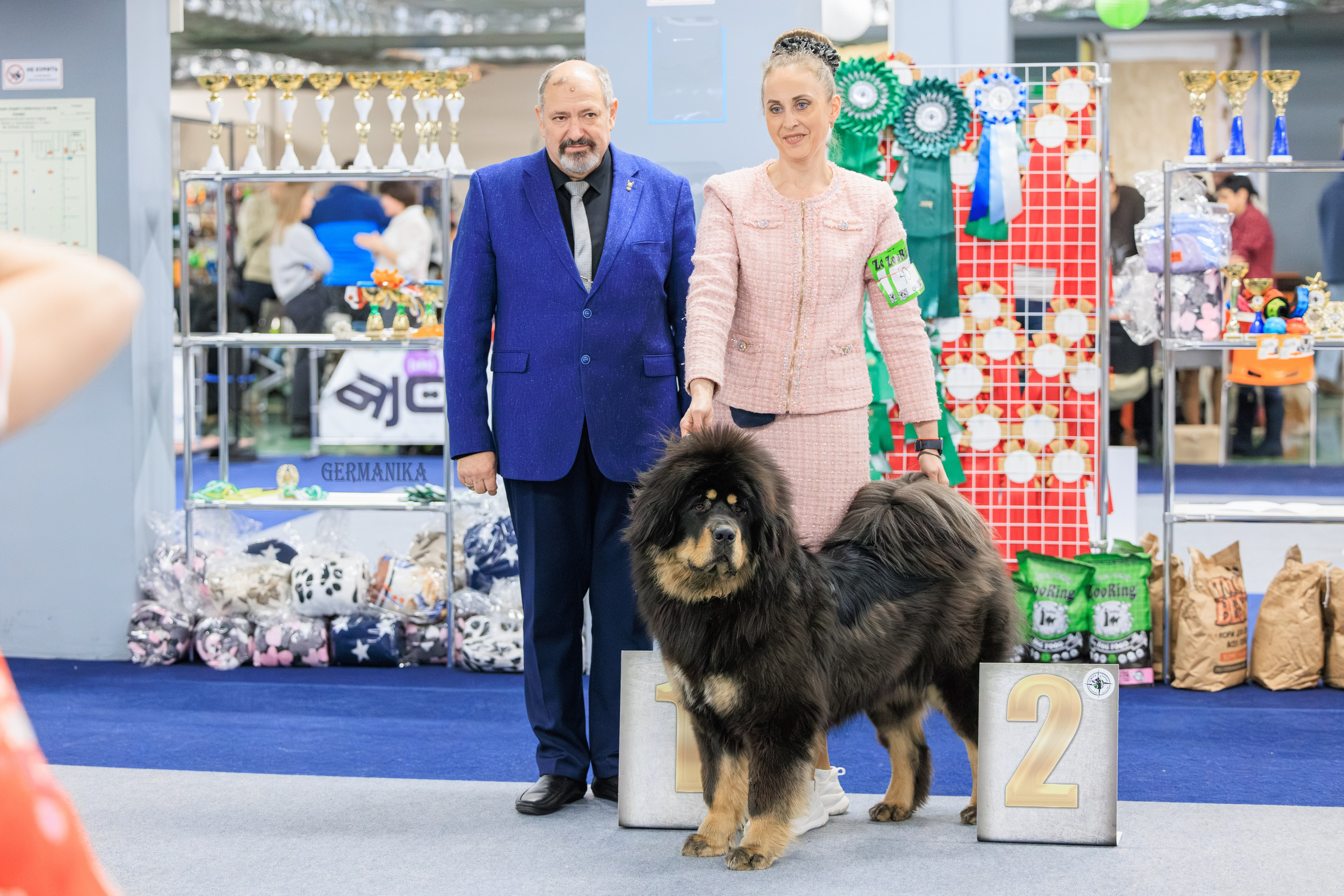 Сфера 08 и 10.03.2024 2хмоно ротвейлеров+2хмоно сао. Фотограф-анималист Юлия Германика