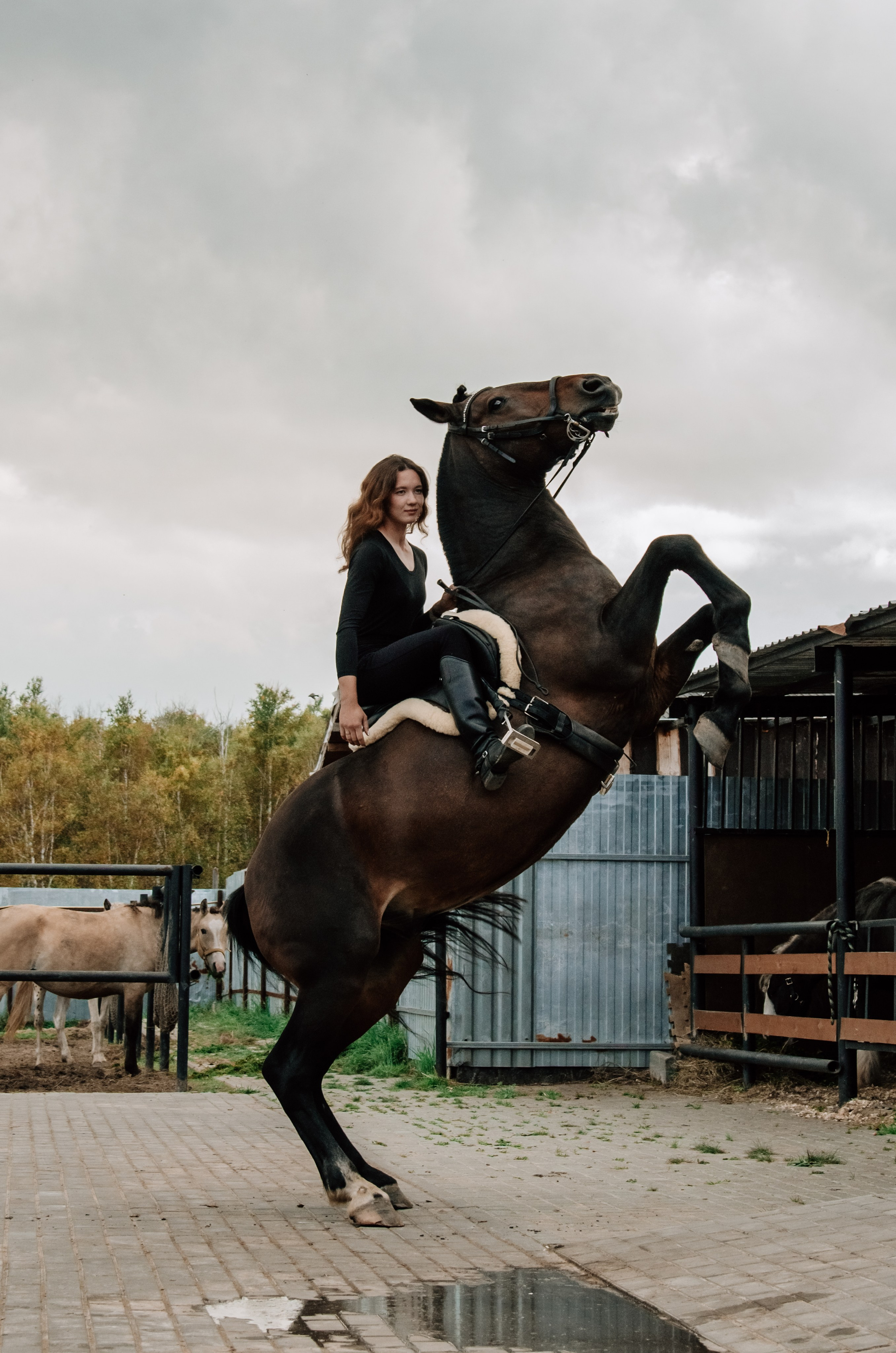 Дом-музей лошадей Хуторъ. Фотографы в Тюмени Андрей и Лидия Войвод