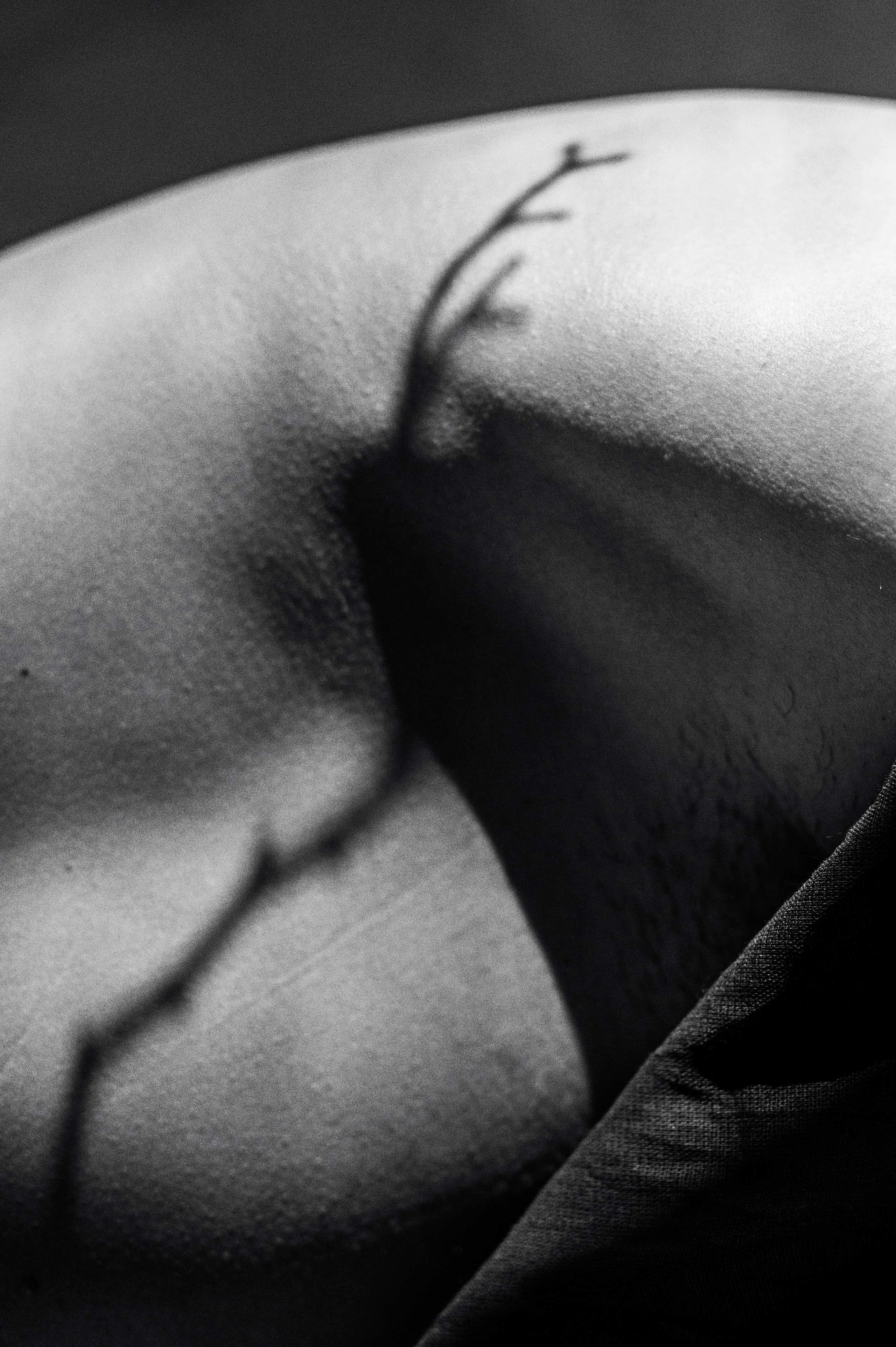 Алексей. Сергей Виноградов фотограф Россия Санкт-Петербург