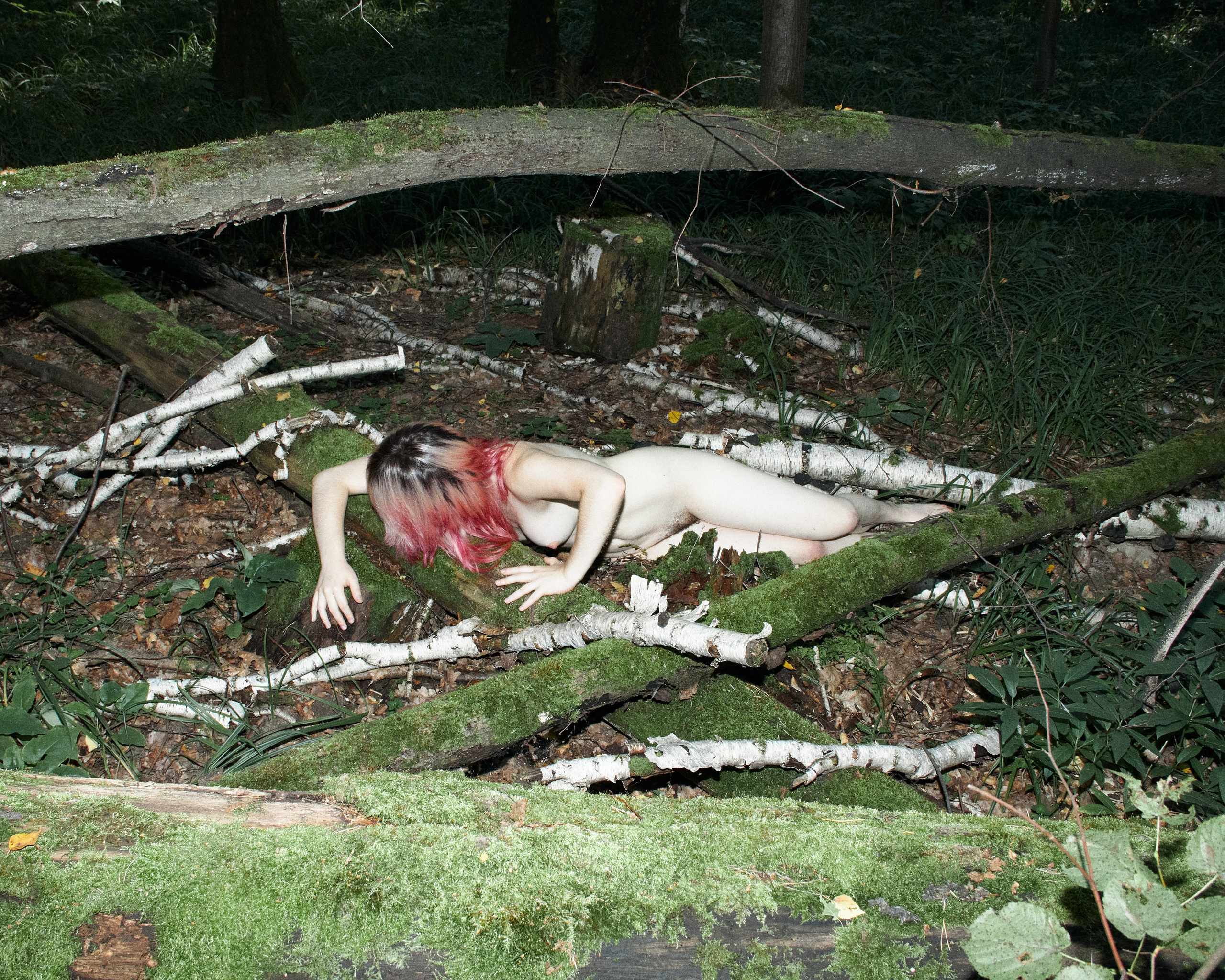 ALENA. Andrew Valmus