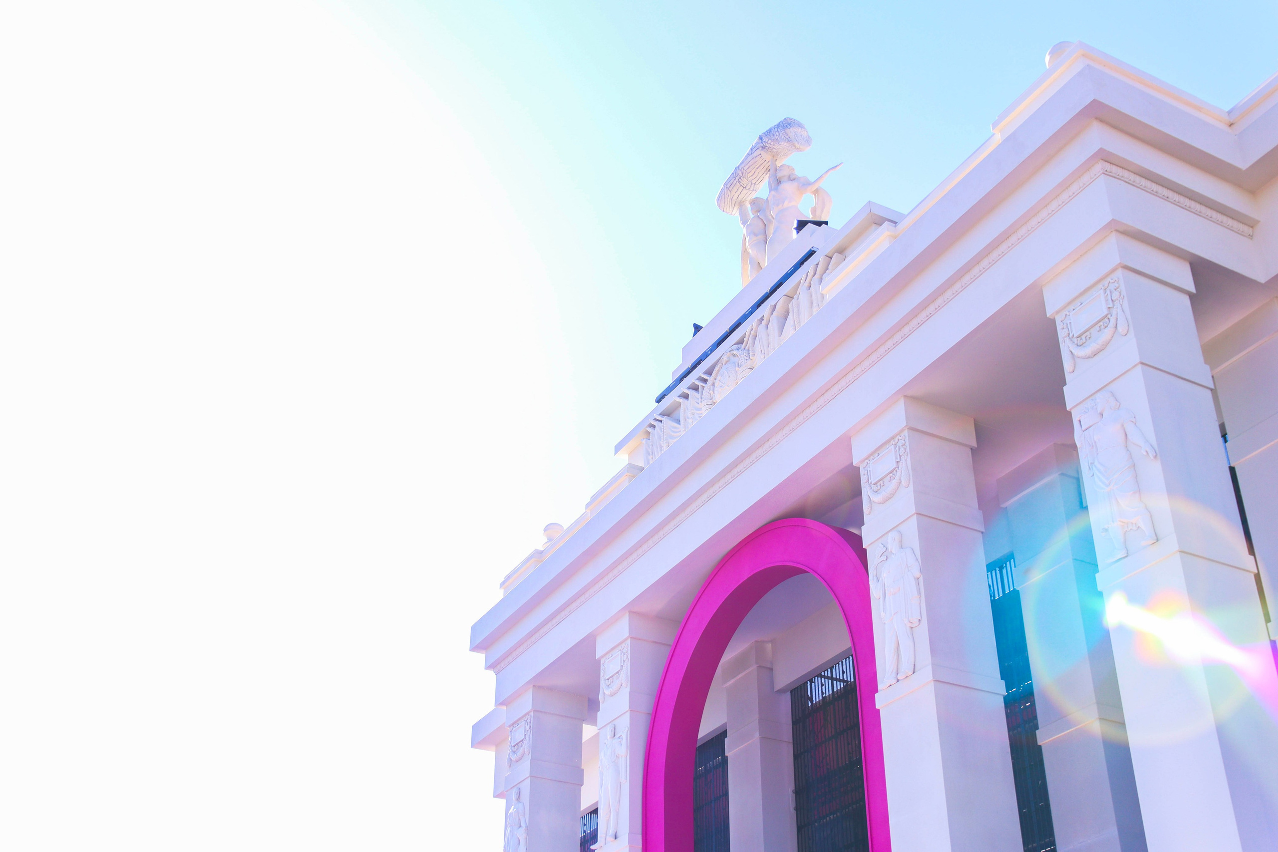 ВФМ | Всемирный фестиваль молодёжи в Сочи 2024. Шилов Арсений — репортажный фотограф в Москве