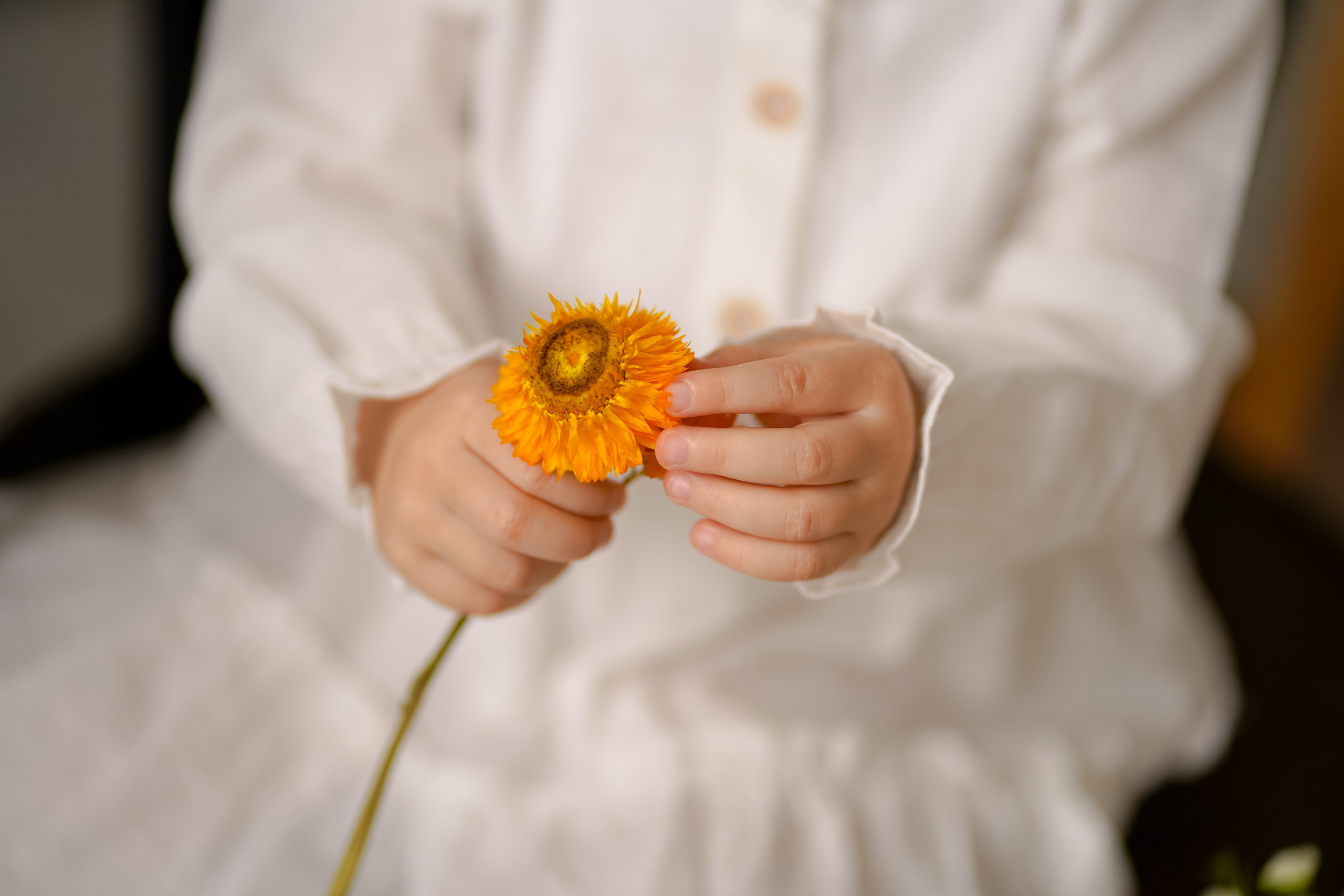 Пасхальные. Фотограф Татьяна Митрофанова