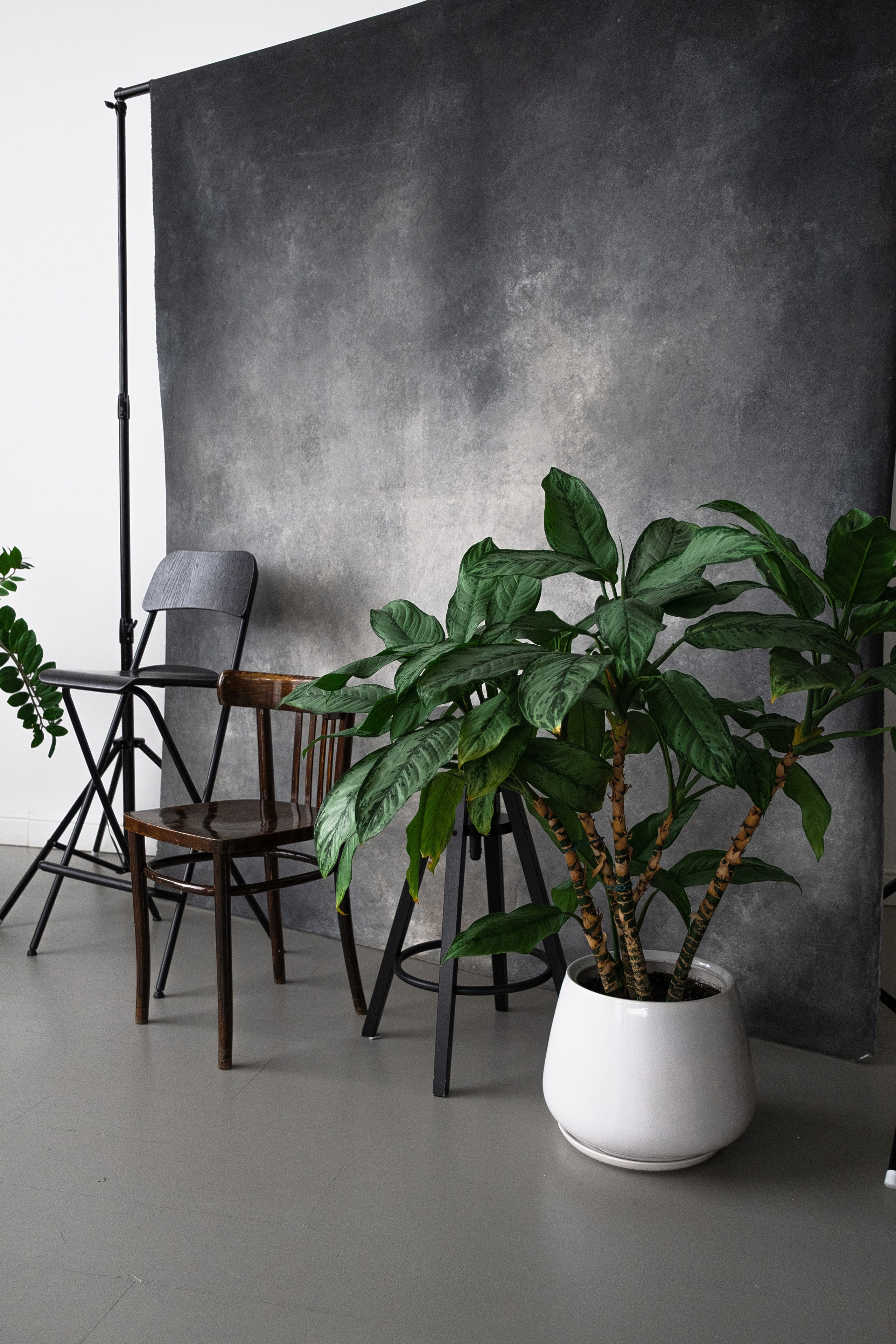 Karl Новогодний от 1500 руб. час. 5loft Фотостудия в Ижевске