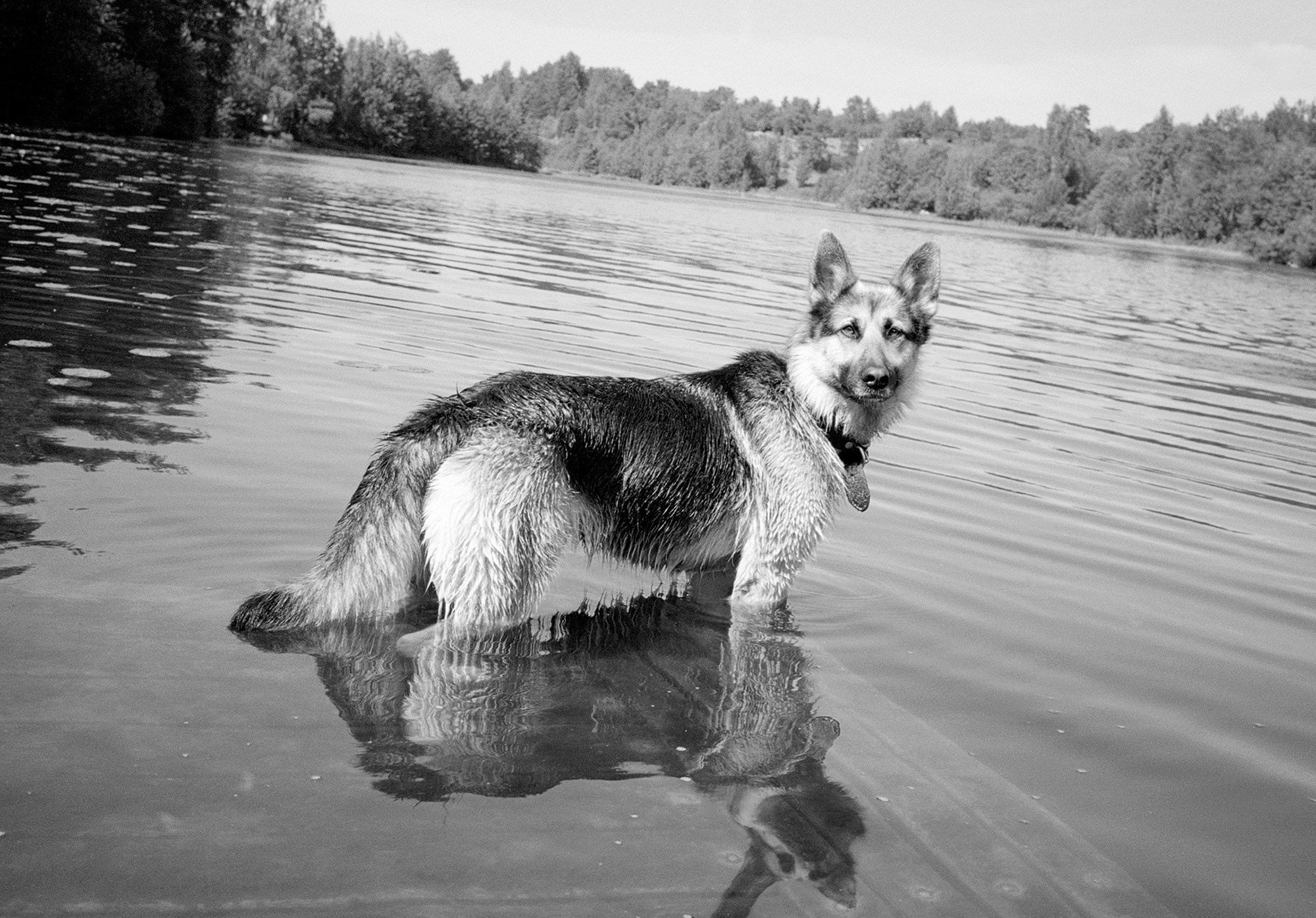 OBJECT PASSPORT. Valery Morozov