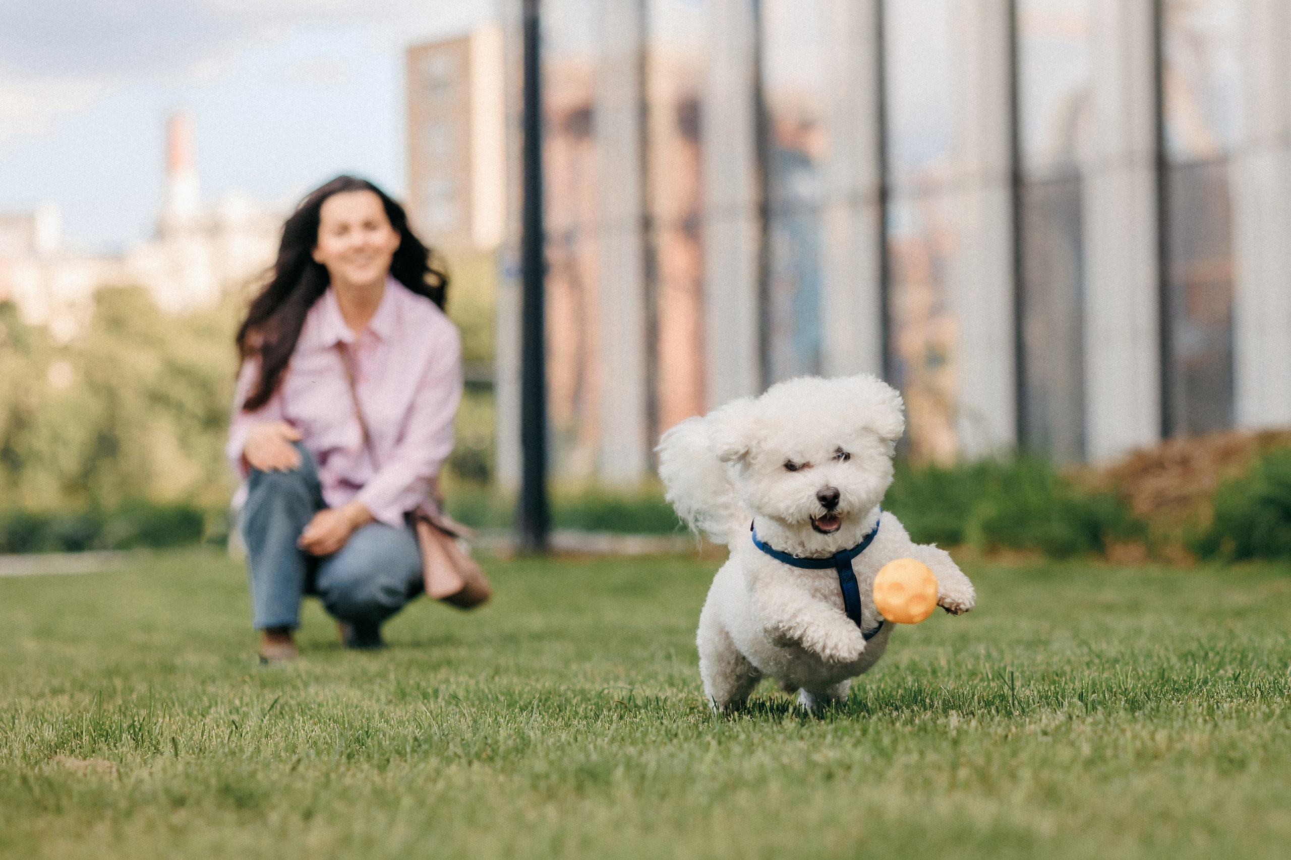 Марина, Данил и Бруно. Фотограф-анималист Елена Радченко, Москва