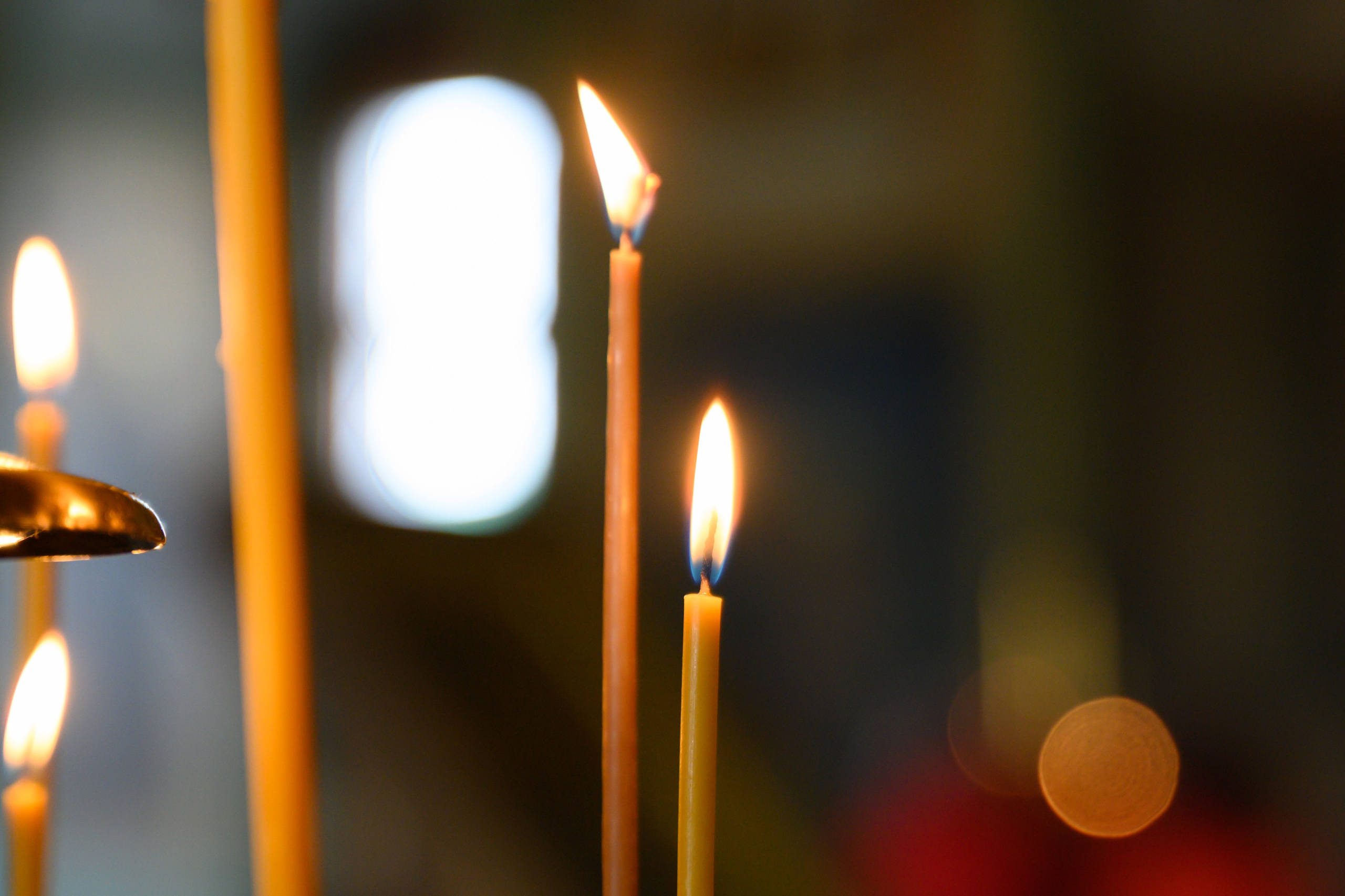 Троице-Сергиева Лавра 9.03.2025