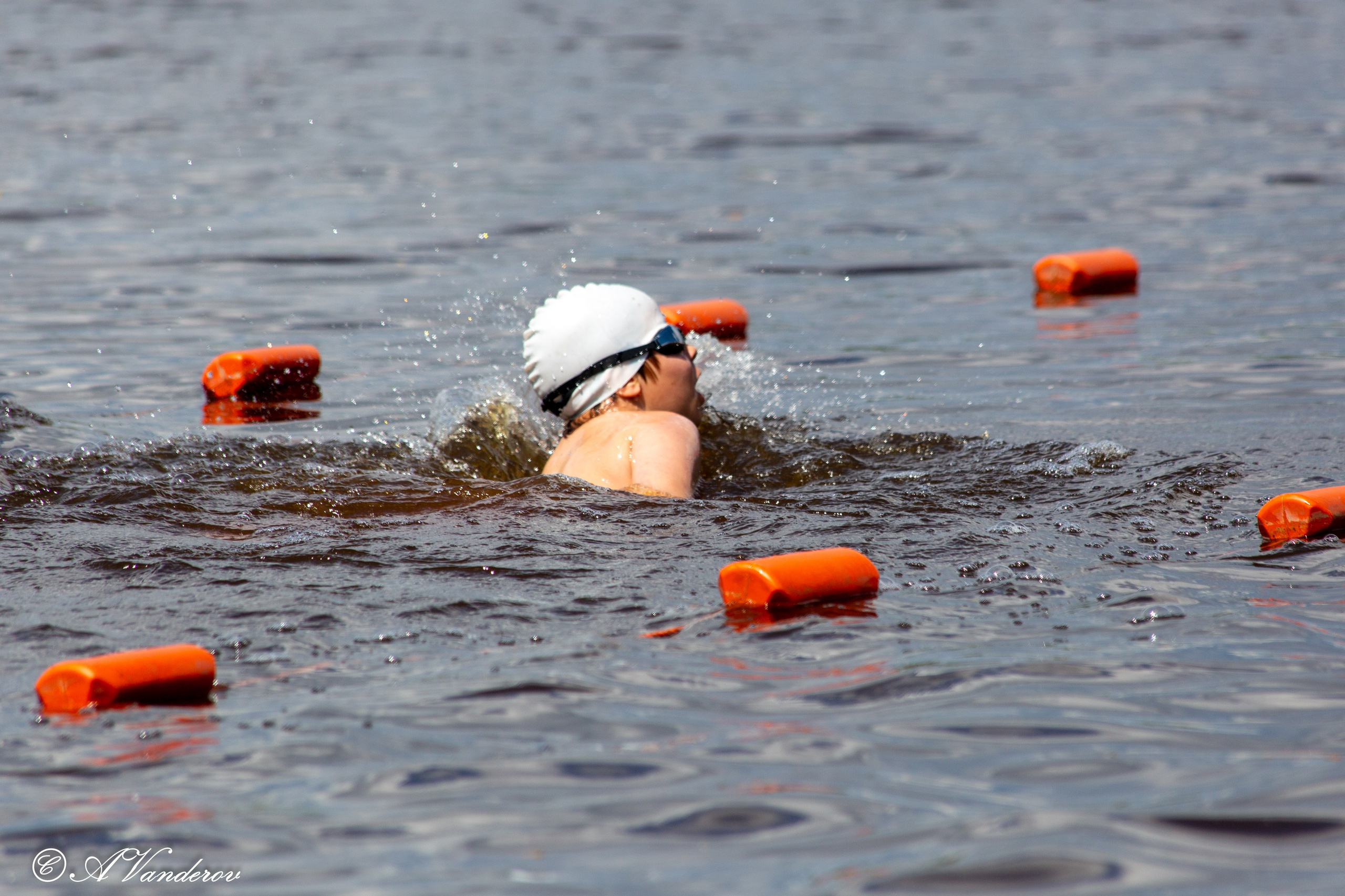 Заплыв 02.06.2024. Фотограф Омск | Александр Вандеров
