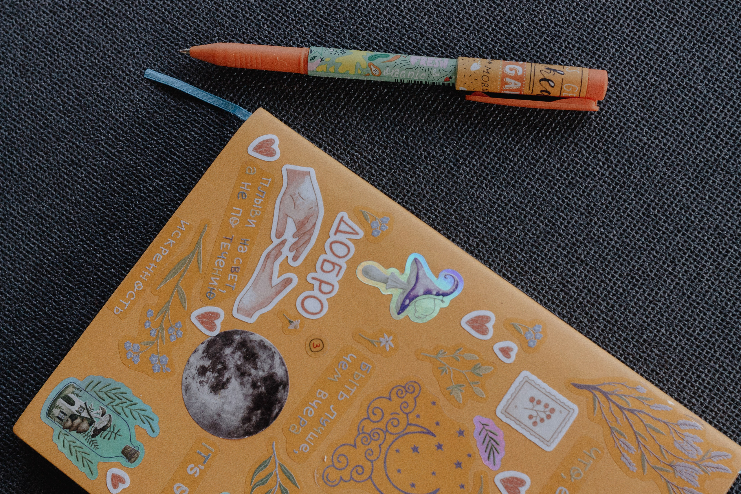 Ретрит на Байкале / Школа Ведических знаний SoVA / 7 дней, 2023. Борщевская Елизавета / фотограф Иркутск