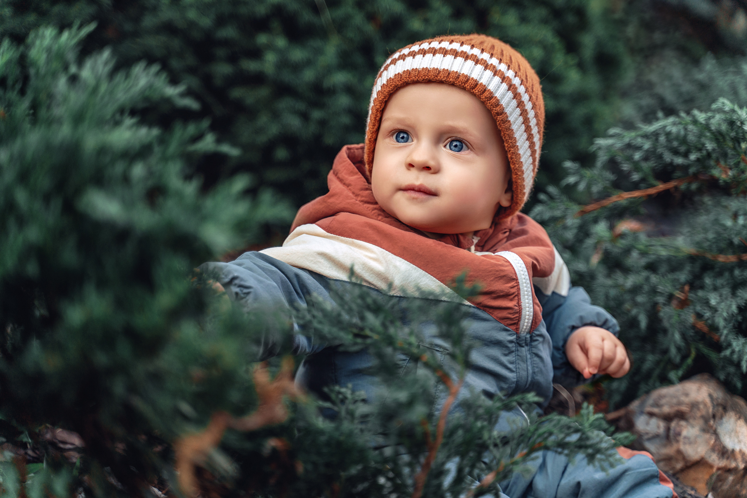 Прогулка в Аптекарском огороде. Фотограф \ Видеограф на Крещение, Венчание Москва| Семейные съемки