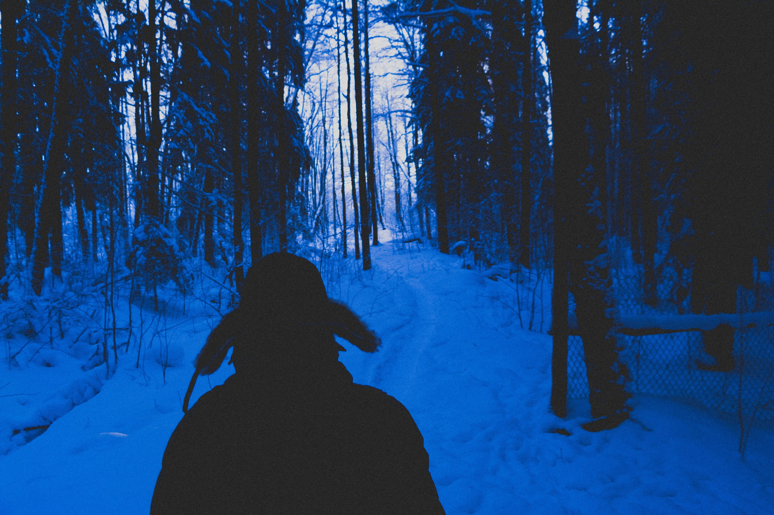 Тропа здоровья. Den Mirov — Фотограф, Музыкант