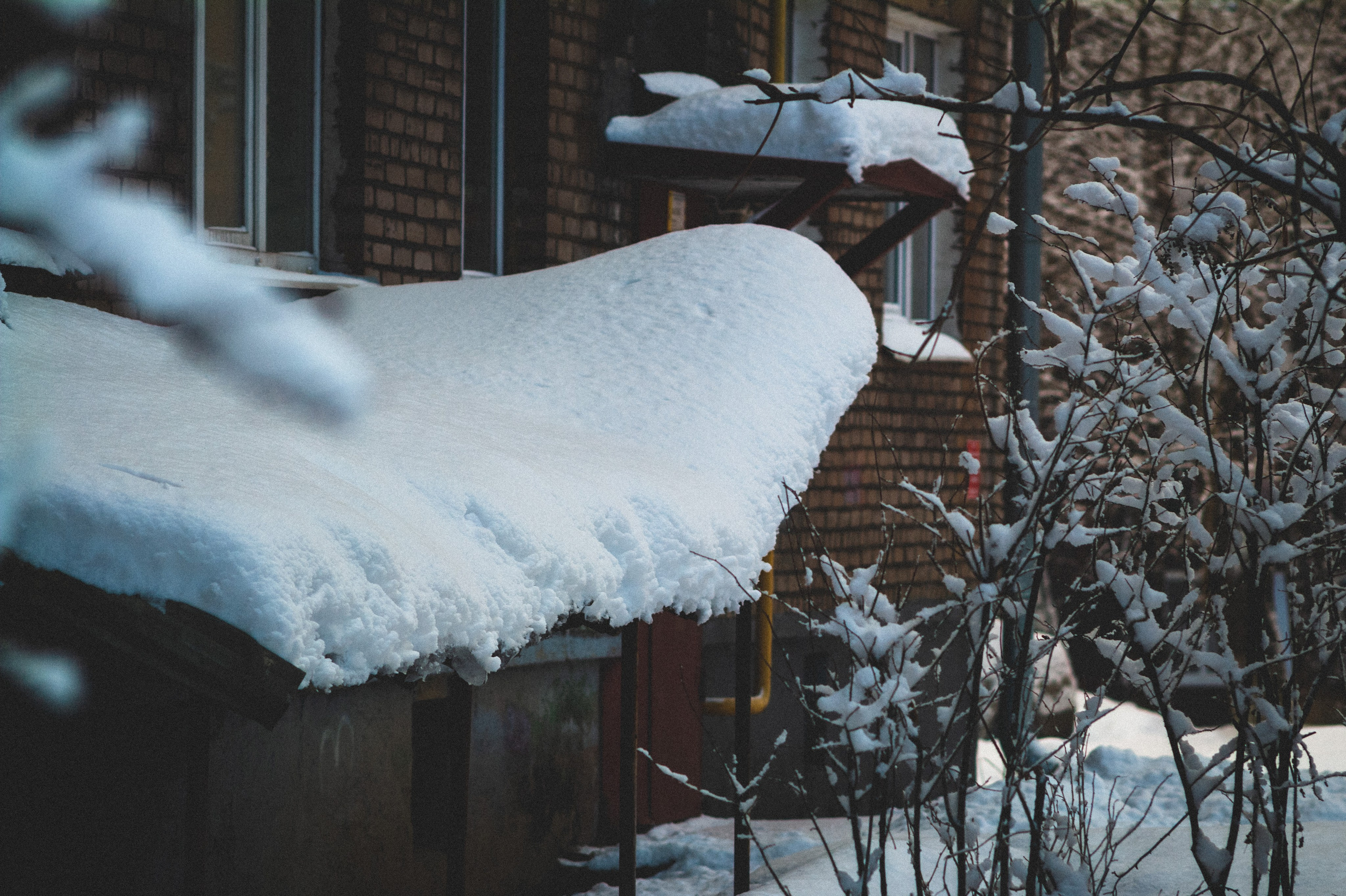 Cold. Soft. Den Mirov — Photographer, Musician