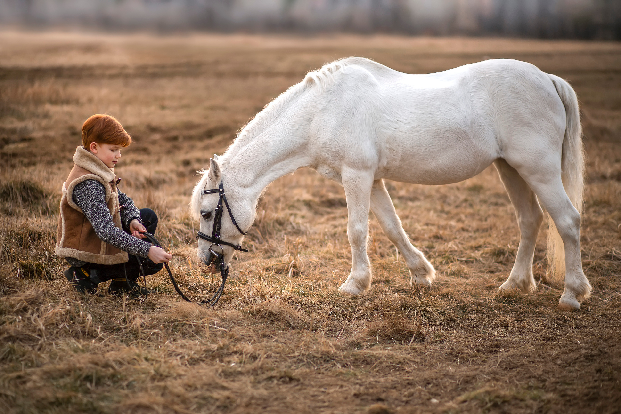Конюшня. Семейный и детский фотограф в Москве и в Можайске Олеся Галузинская