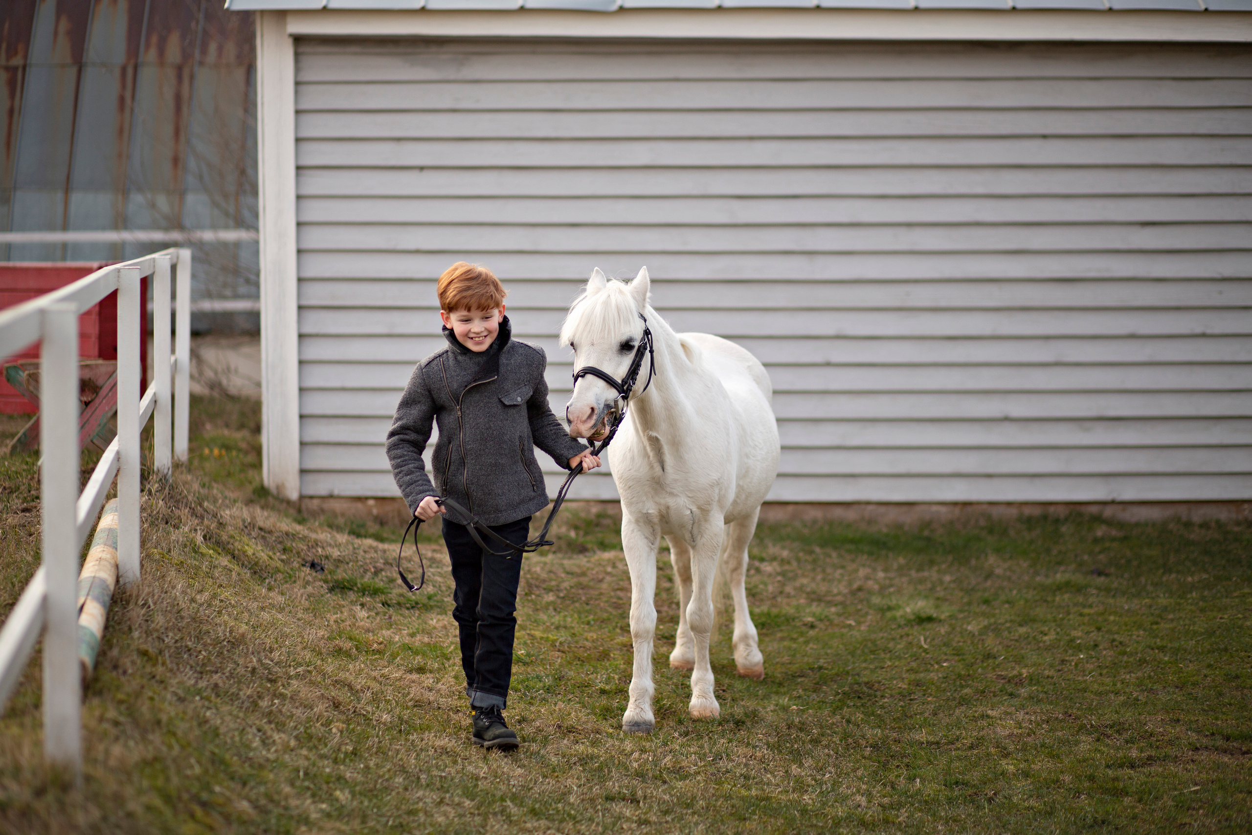 Конюшня. Семейный и детский фотограф в Москве и в Можайске Олеся Галузинская