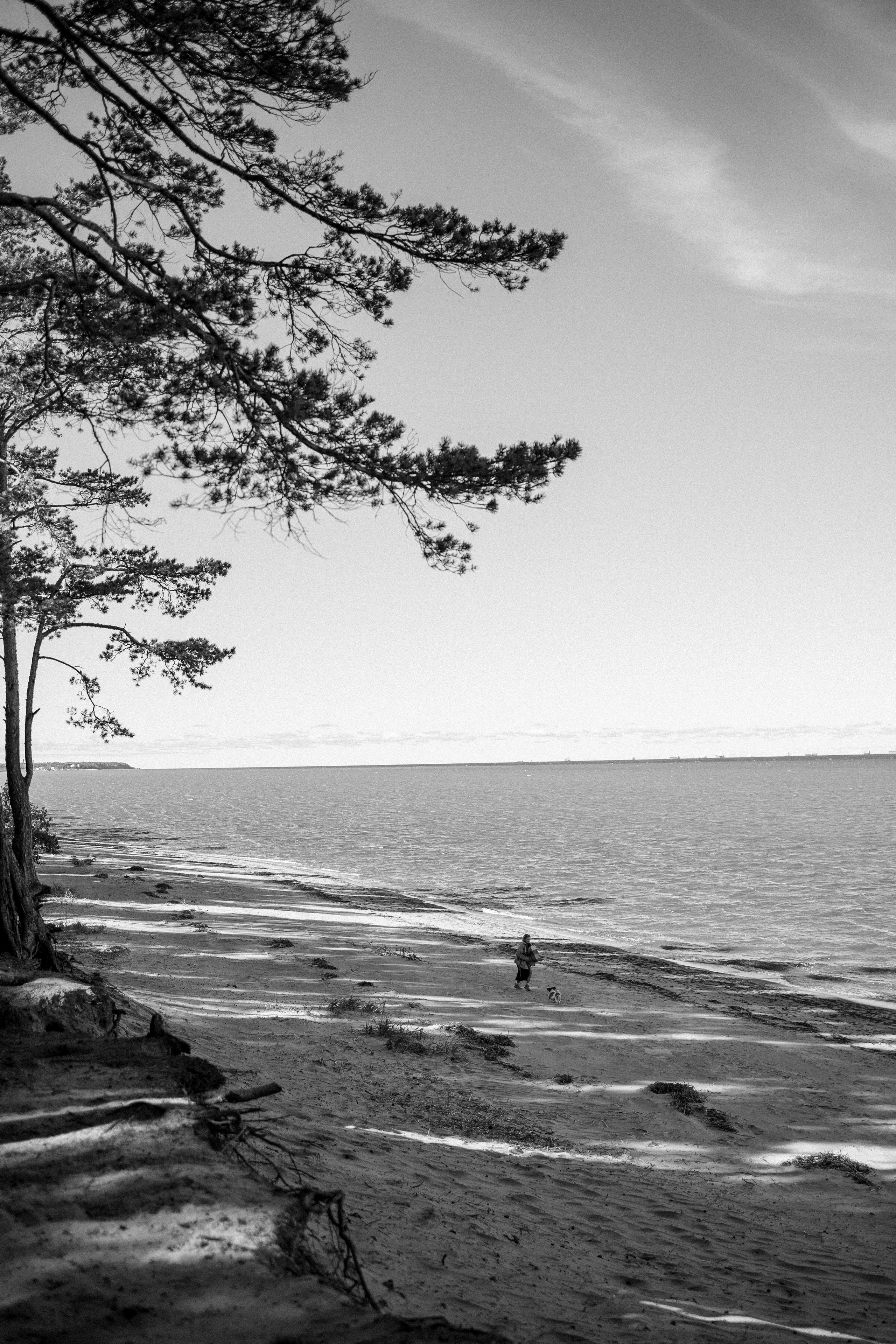 Настя и Франт. Фотограф — Анималист | Санкт-Петербург