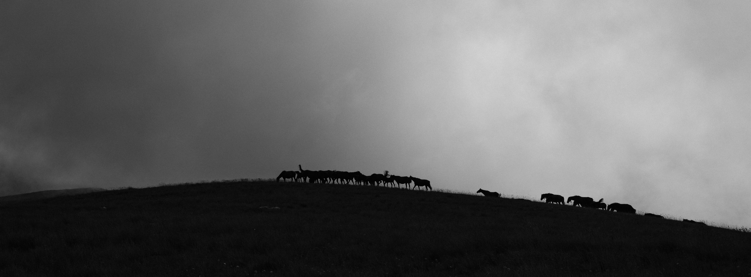 Тридцатка | август 2023