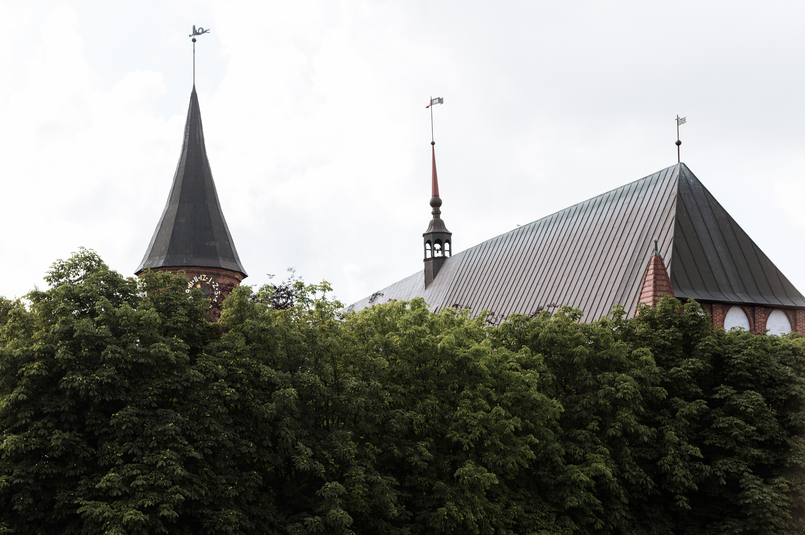 Дмитрий Юлия. Свадебная прогулка. Hochzeitsfotografin Leipzig Dresden