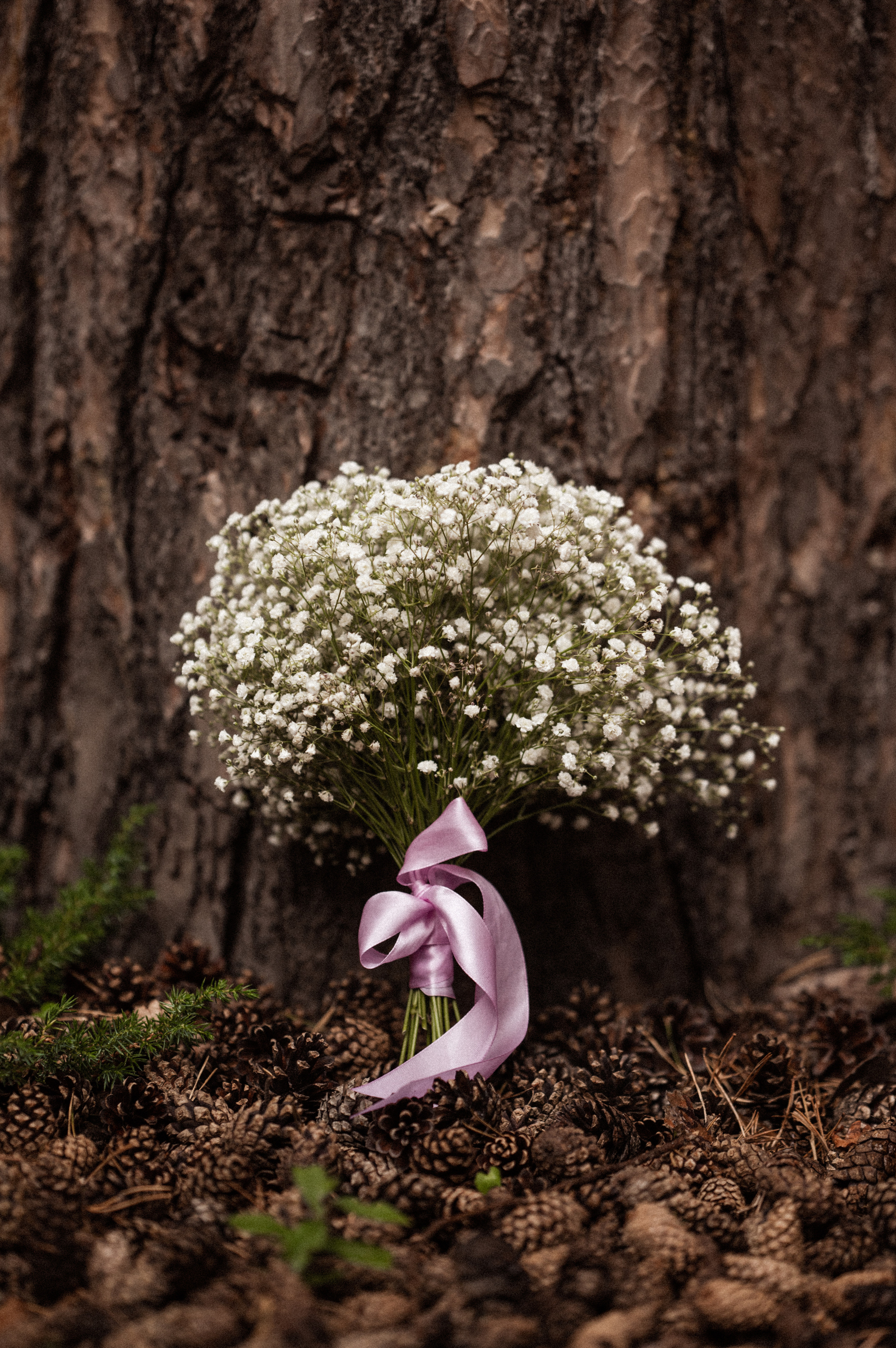 Максим Александра. Свадебная прогулка. Hochzeitsfotografin Leipzig Dresden