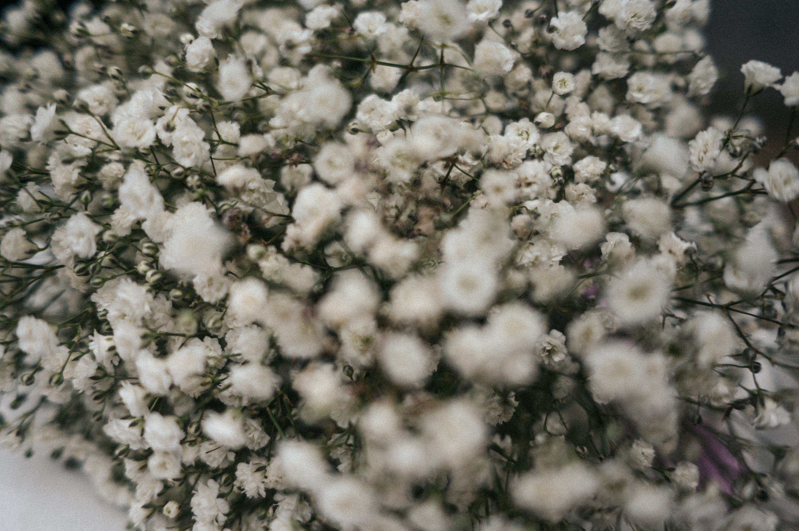 Максим Александра. Свадебная прогулка. Hochzeitsfotografin Leipzig Dresden