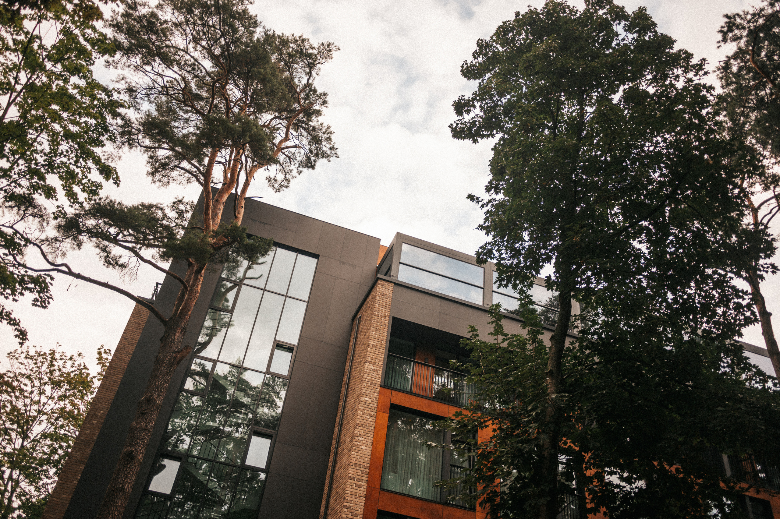 Максим Александра. Свадебная прогулка. Hochzeitsfotografin Leipzig Dresden