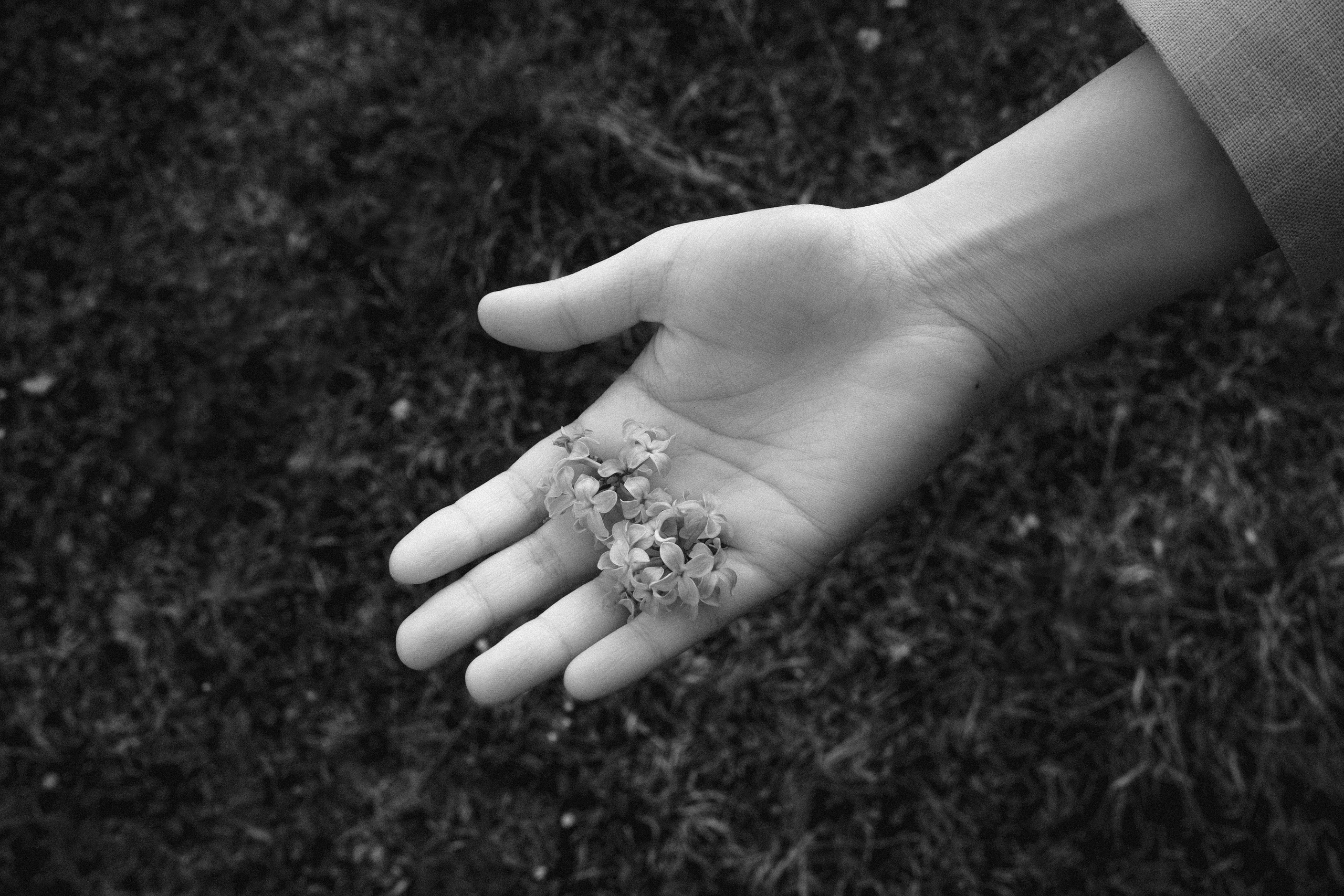 Sponta. Фотограф Яна Булгакова