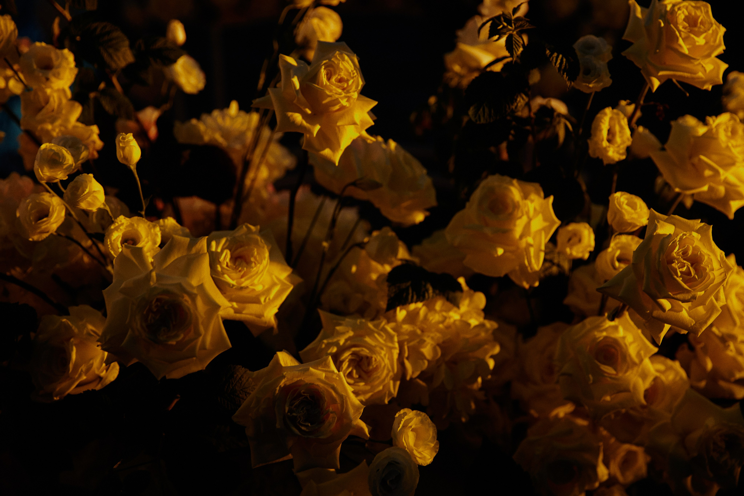 CASTLE IN THE AIR. Дмитрий Мазуркевич: Профессиональный Репортажный Фотограф