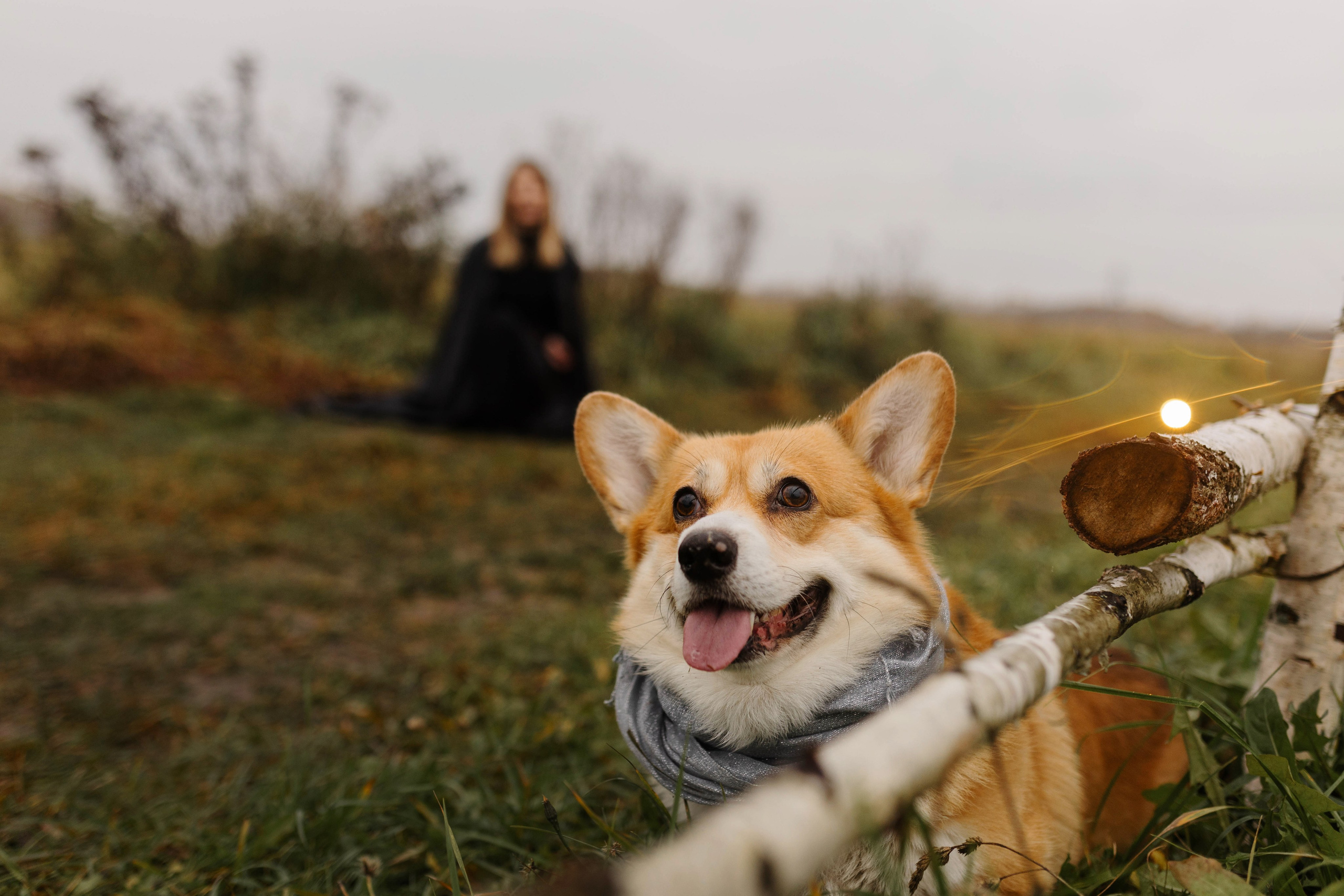 Dog camp / Аня и Бенджи. Фотограф Кузина Вера