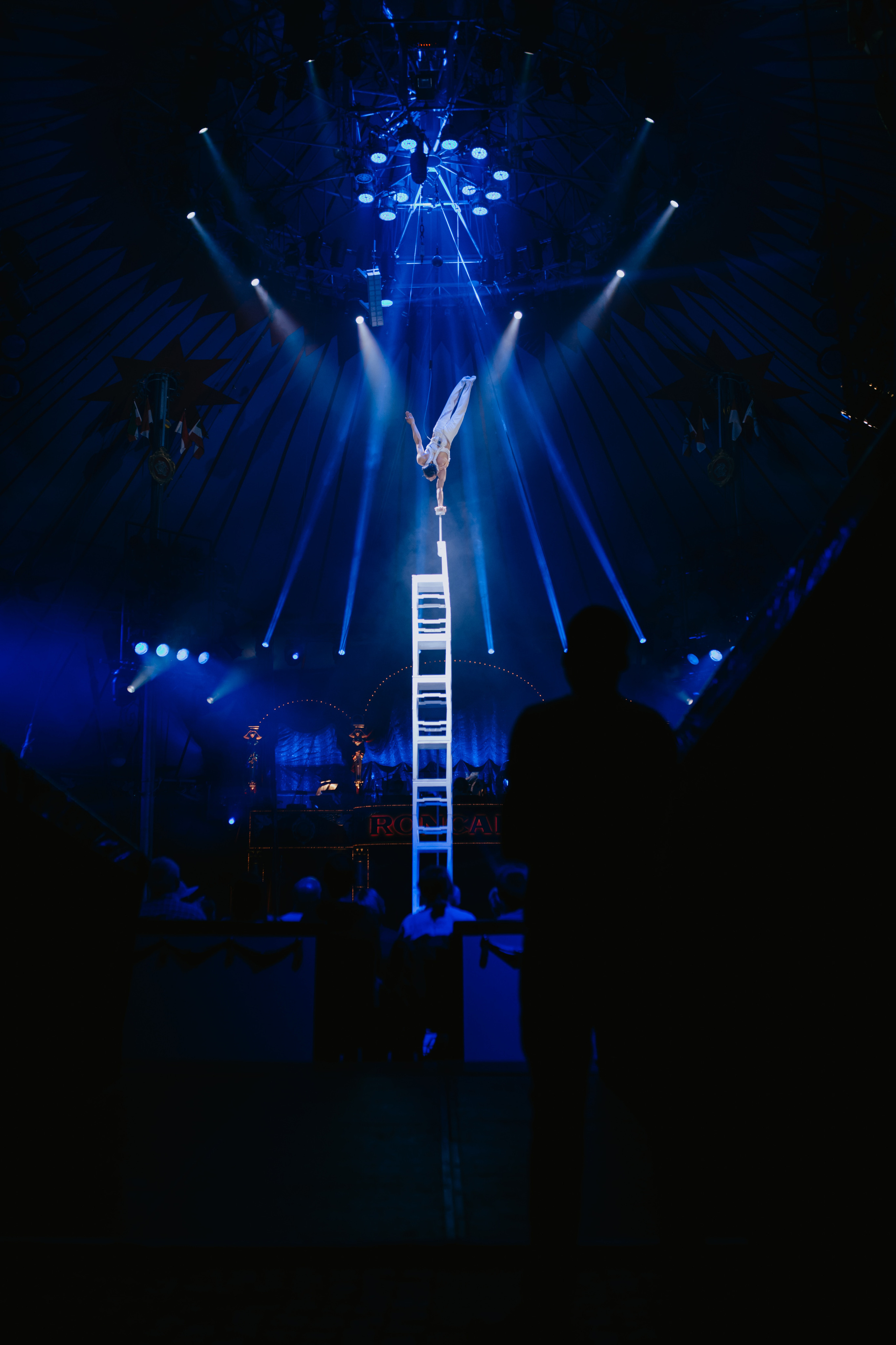 Cirqus Roncalli. Köln. Germany. Wedding Event ART Photographer