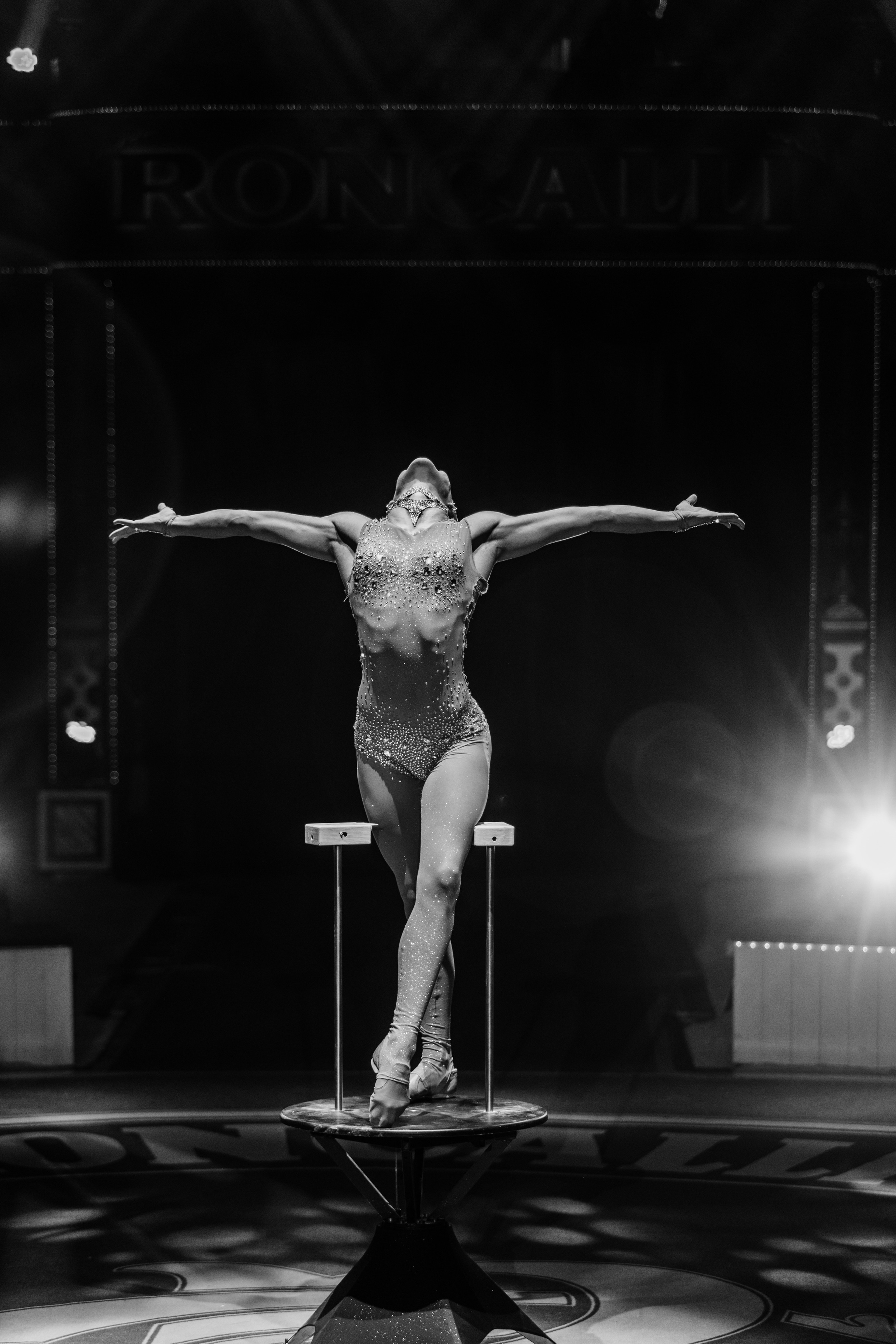 Cirqus Roncalli. Köln. Germany. Wedding Event ART Photographer