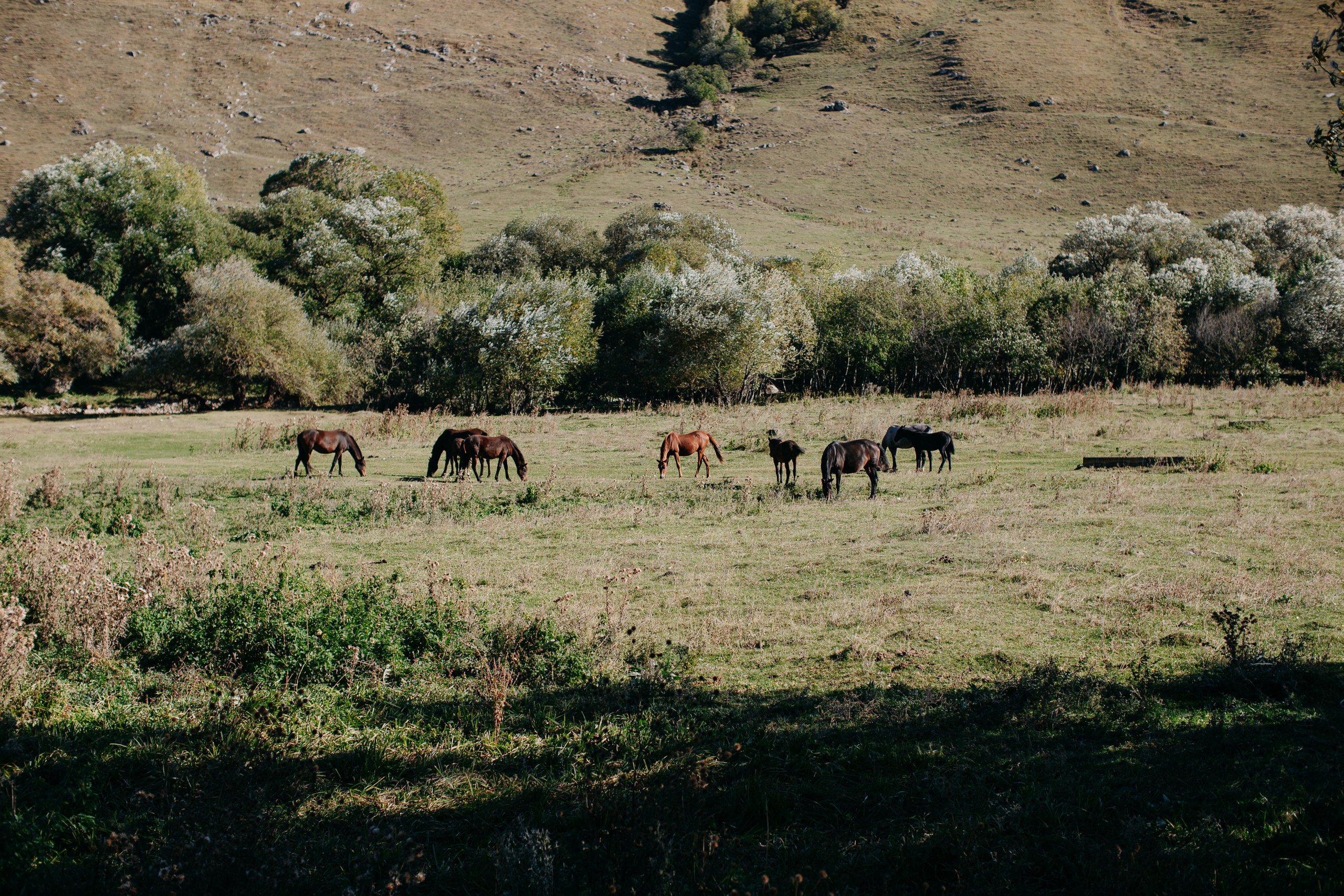 Road to Elbrus or mountain views. Wedding Event ART Photographer